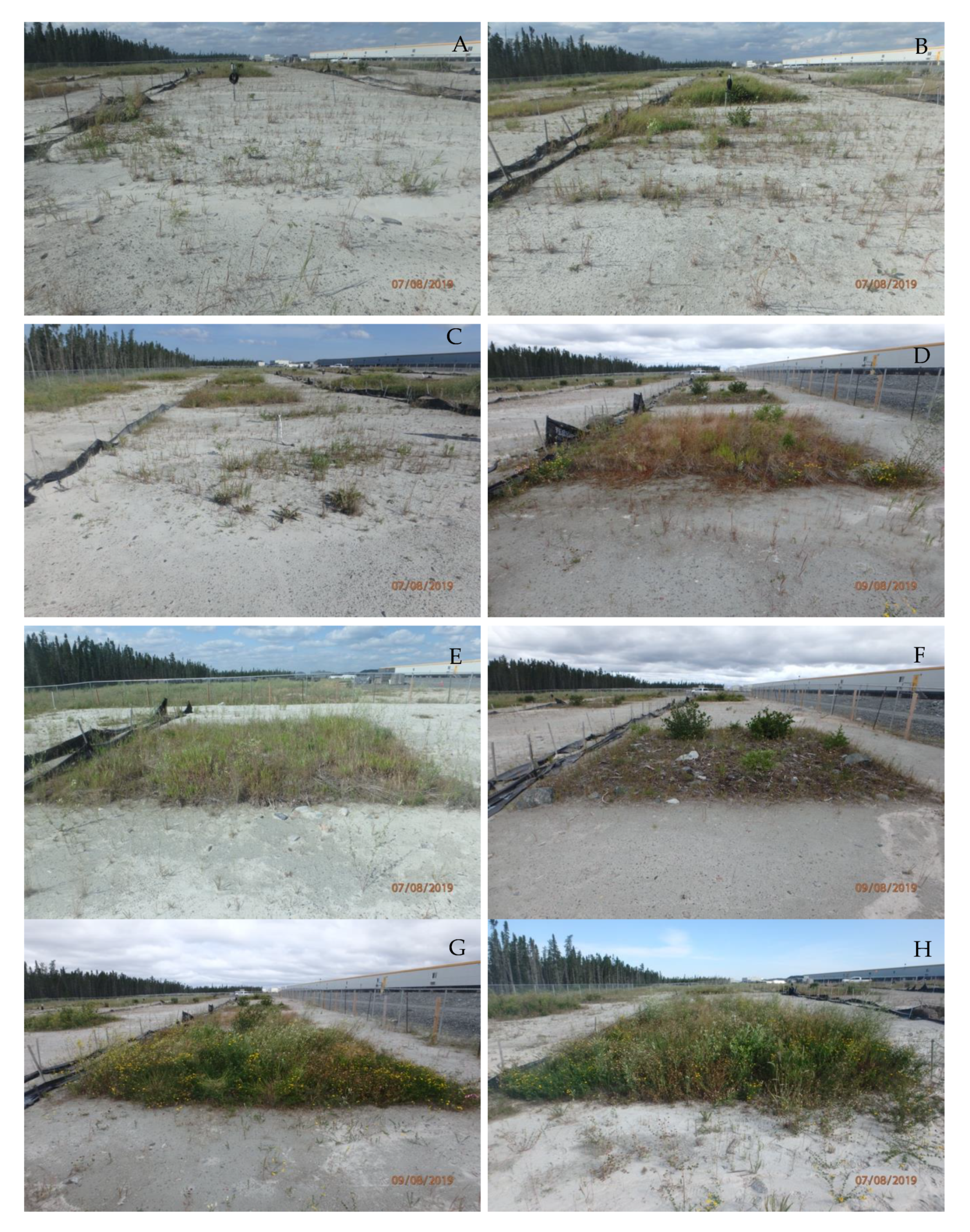 Forests 12 00776 g002