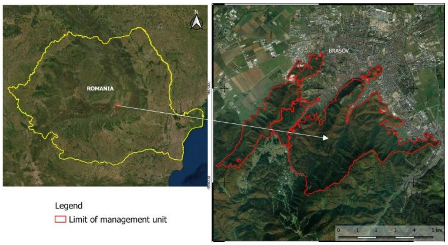 Forests 12 00783 g001 Forests 12 00783 g001