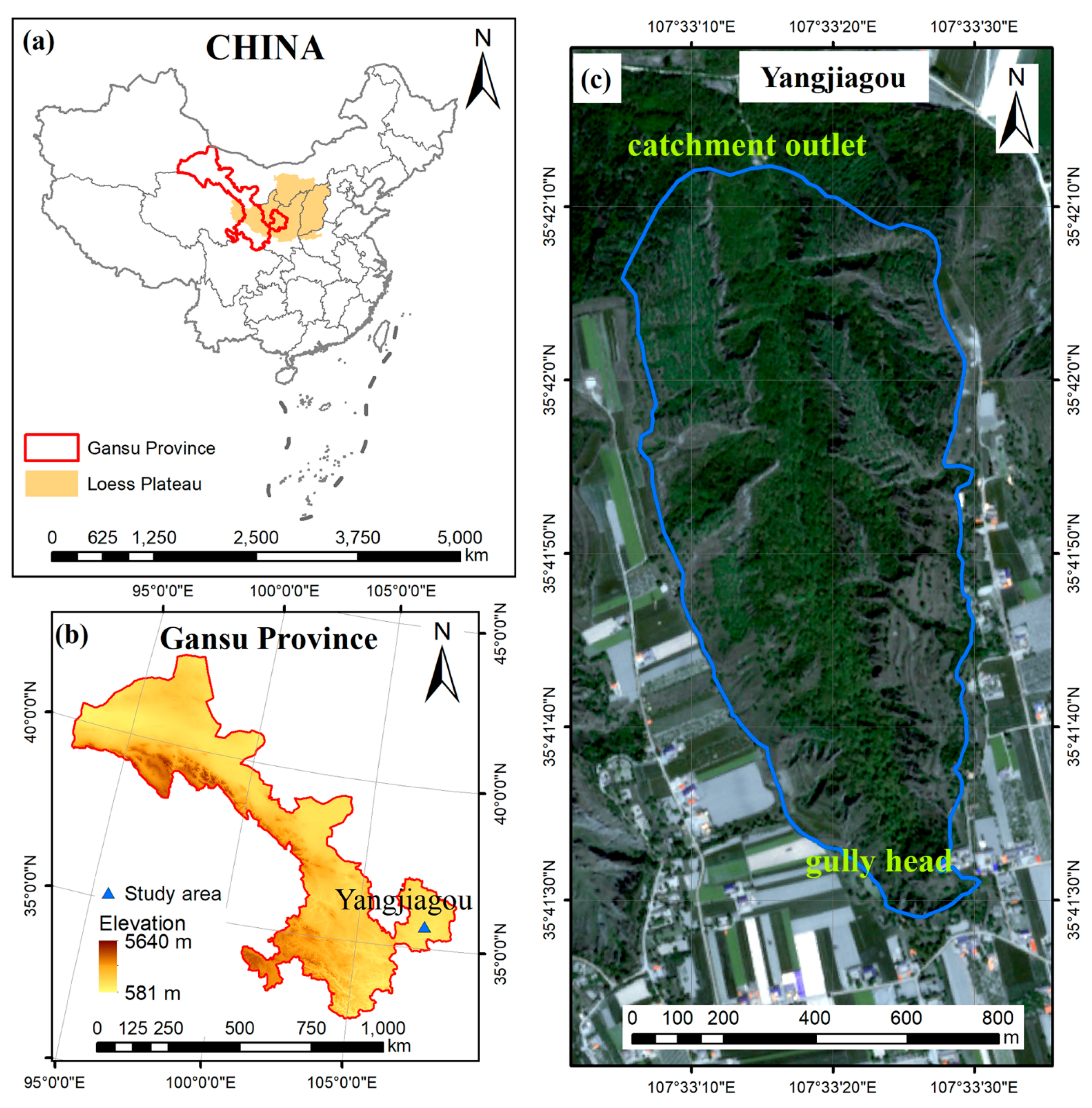 Forests 12 00792 g001