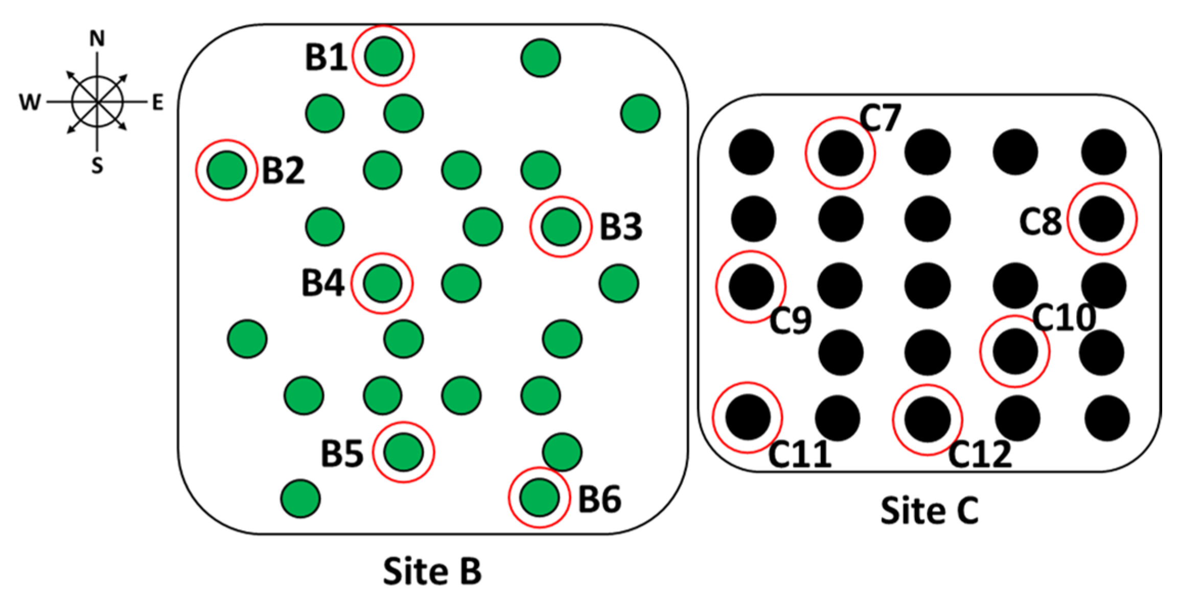 Forests 12 00794 g002