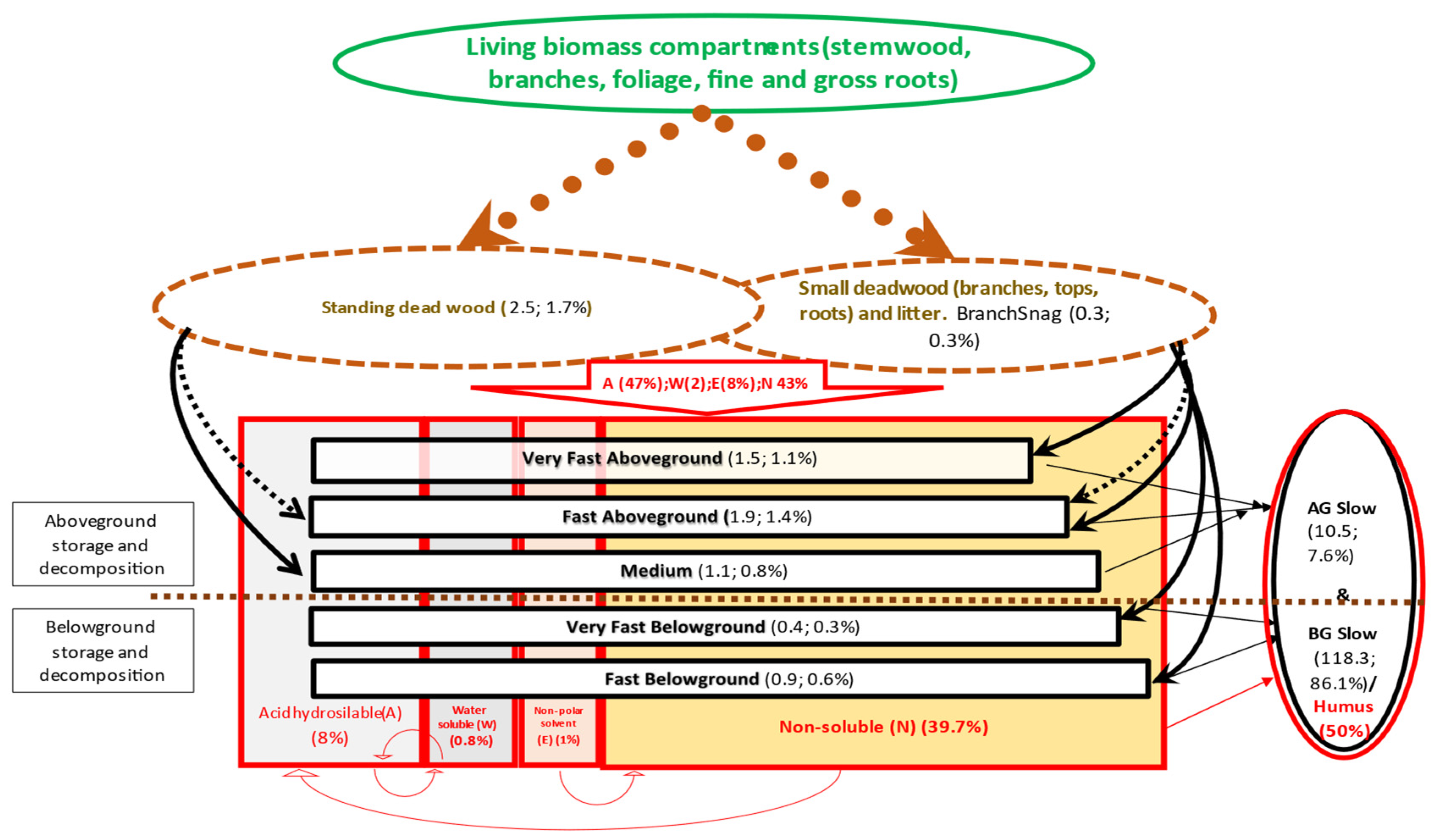 Forests 12 00795 g001