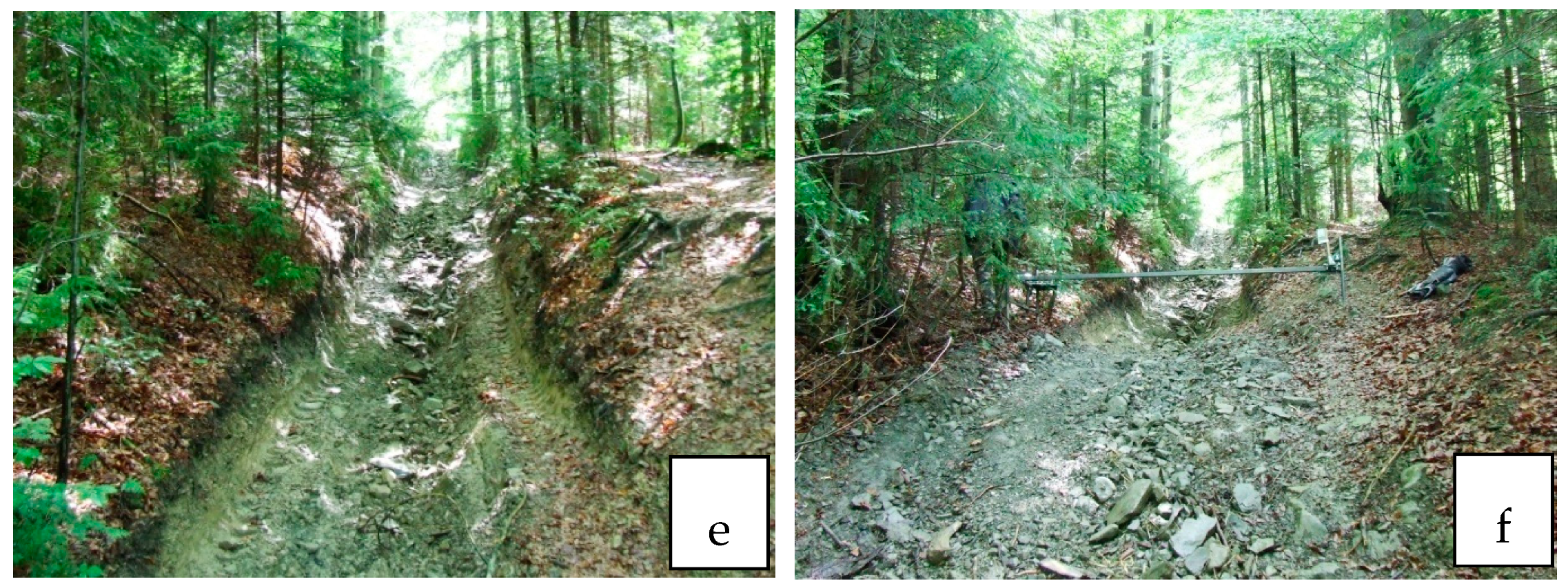 Forests 12 00797 g001b