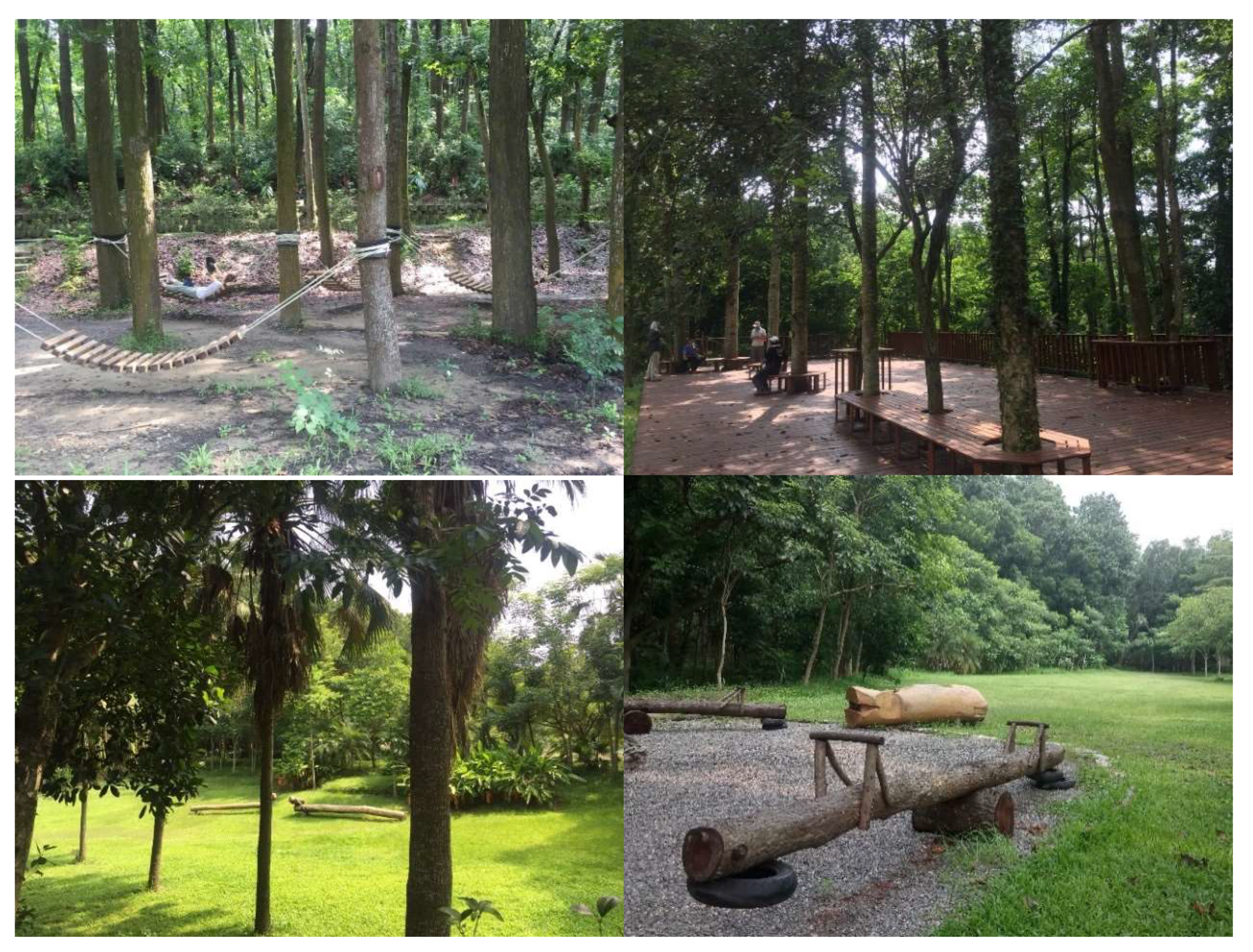 Forests 12 00806 g002