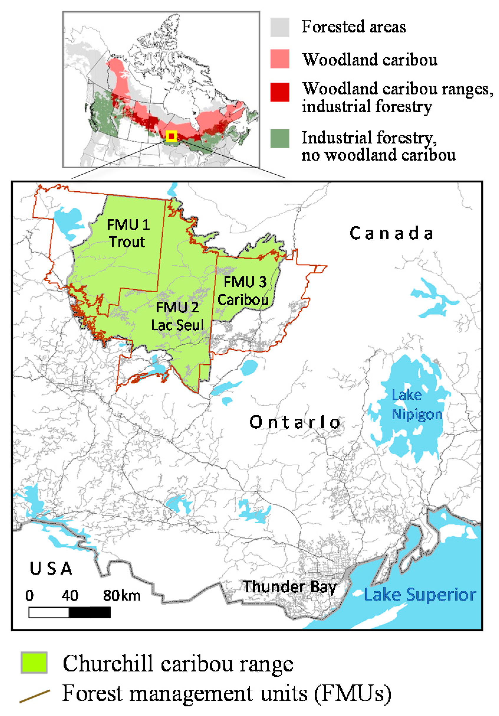Forests Free Full Text Balancing Large Scale Wildlife Protection And Forest Management Goals With A Game Theoretic Approach Html