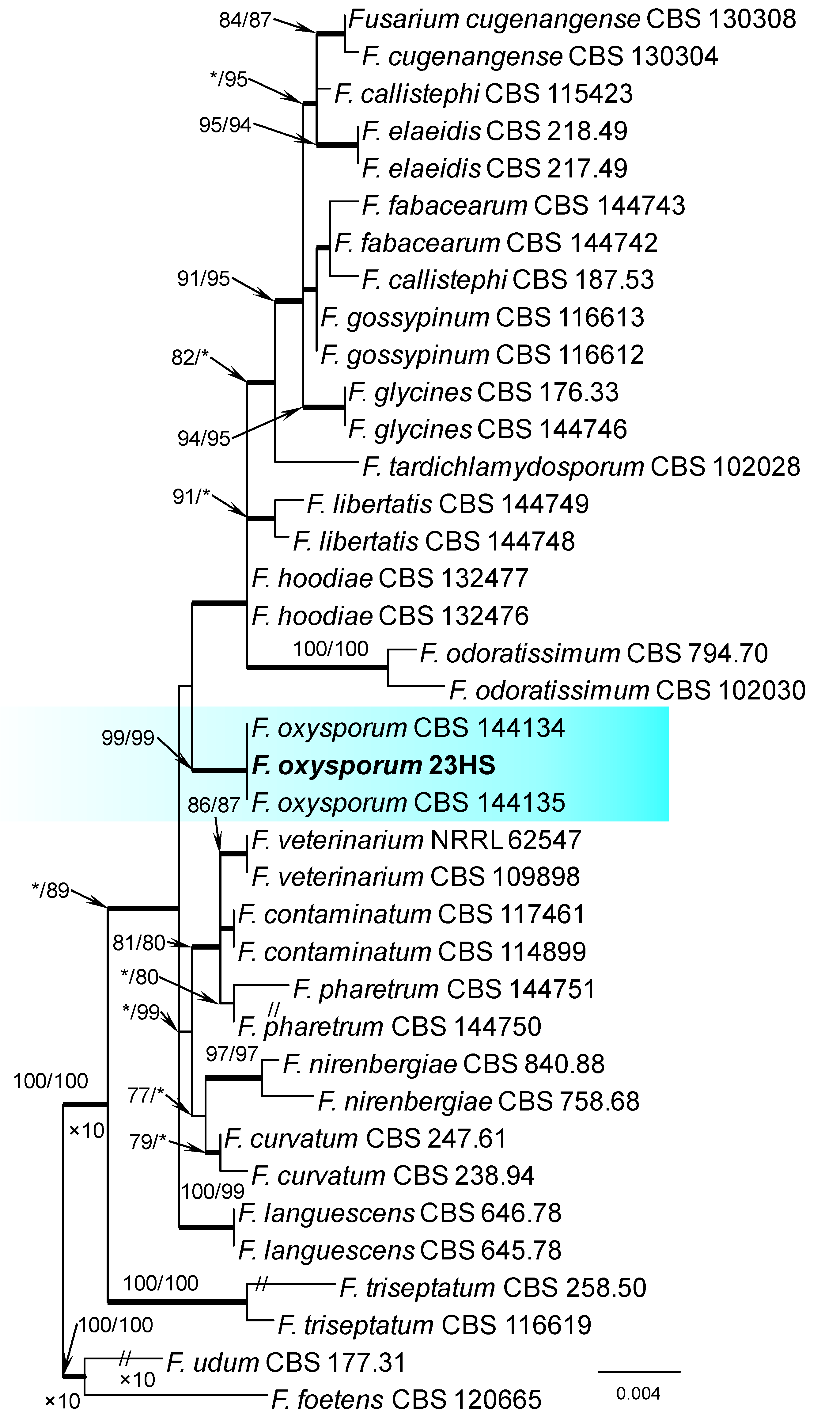 Forests 12 00811 g002 Forests 12 00811 g002