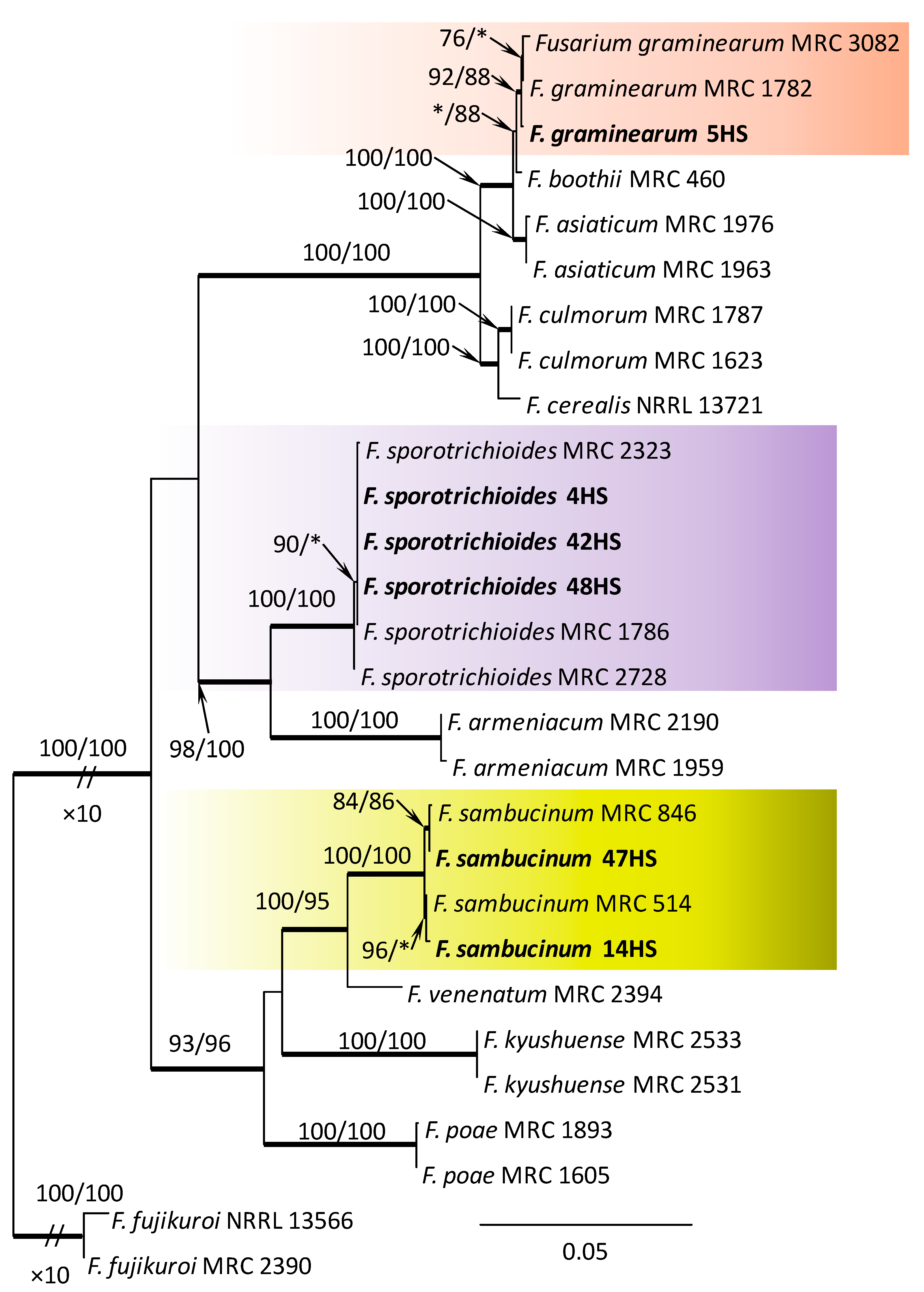 Forests 12 00811 g003 Forests 12 00811 g003