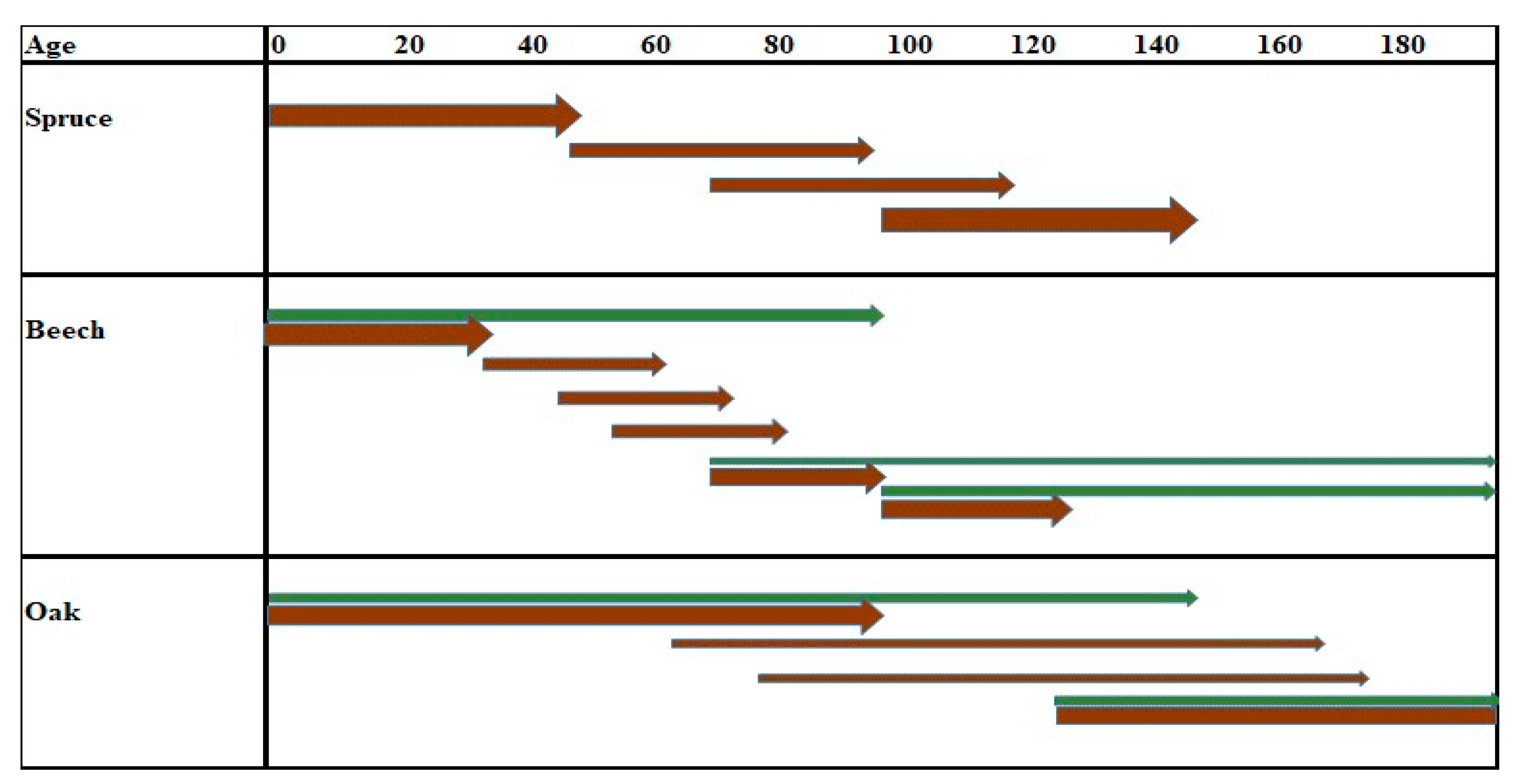 Forests 12 00814 g004