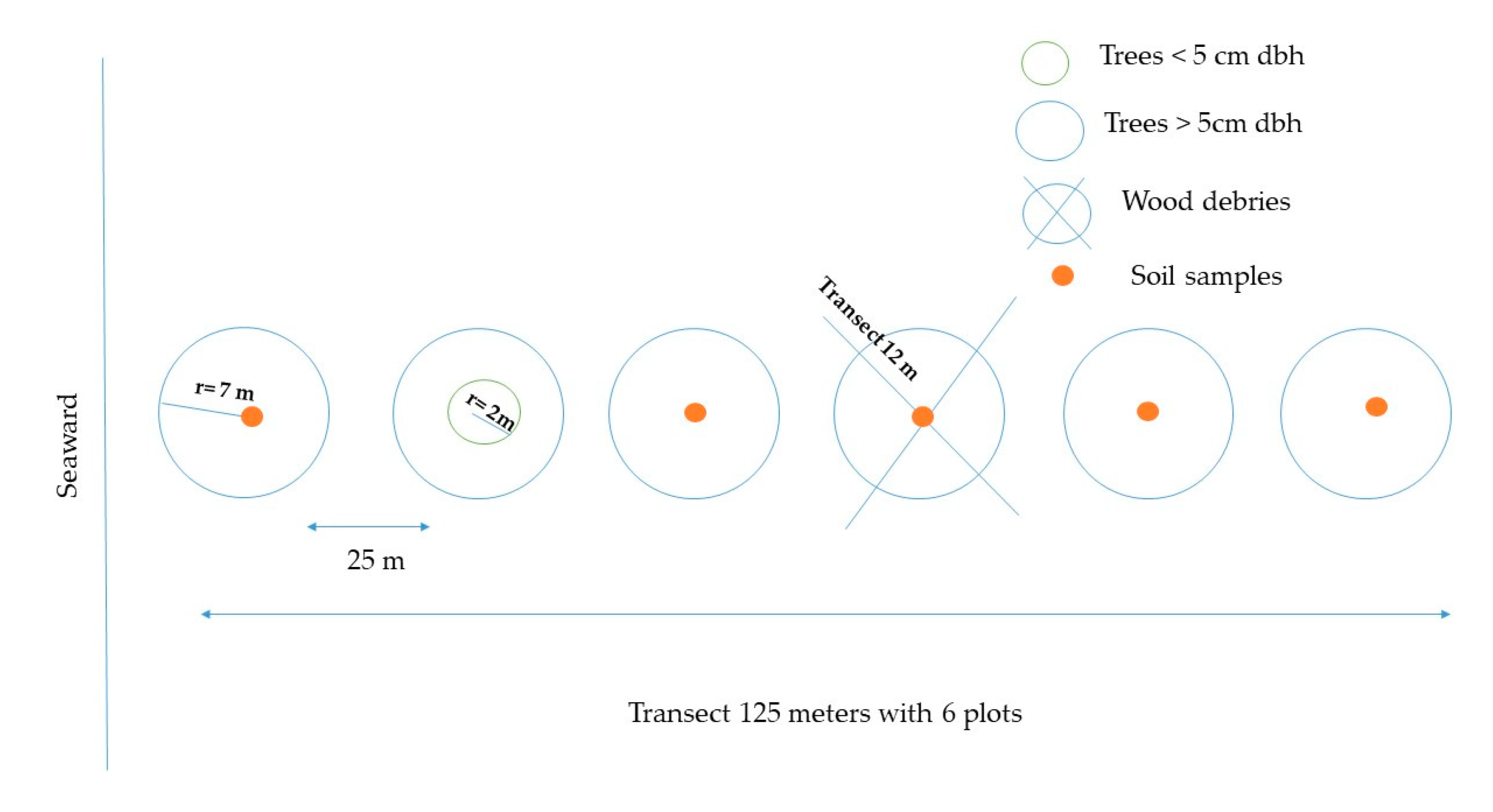 Forests 12 00816 g002