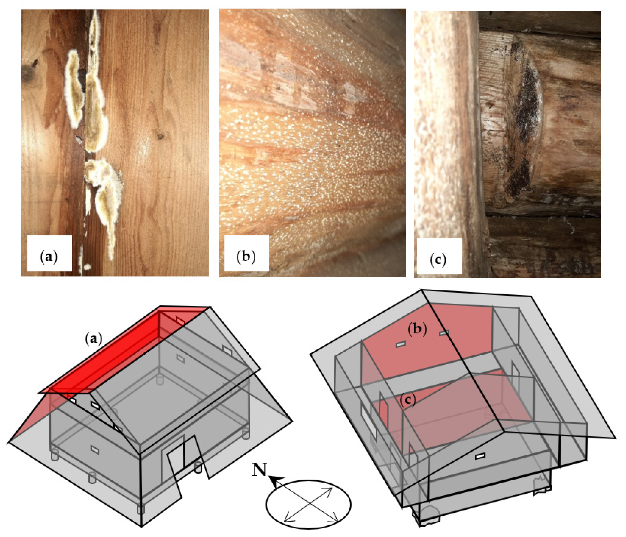 Forests 12 00819 g007 Forests 12 00819 g007
