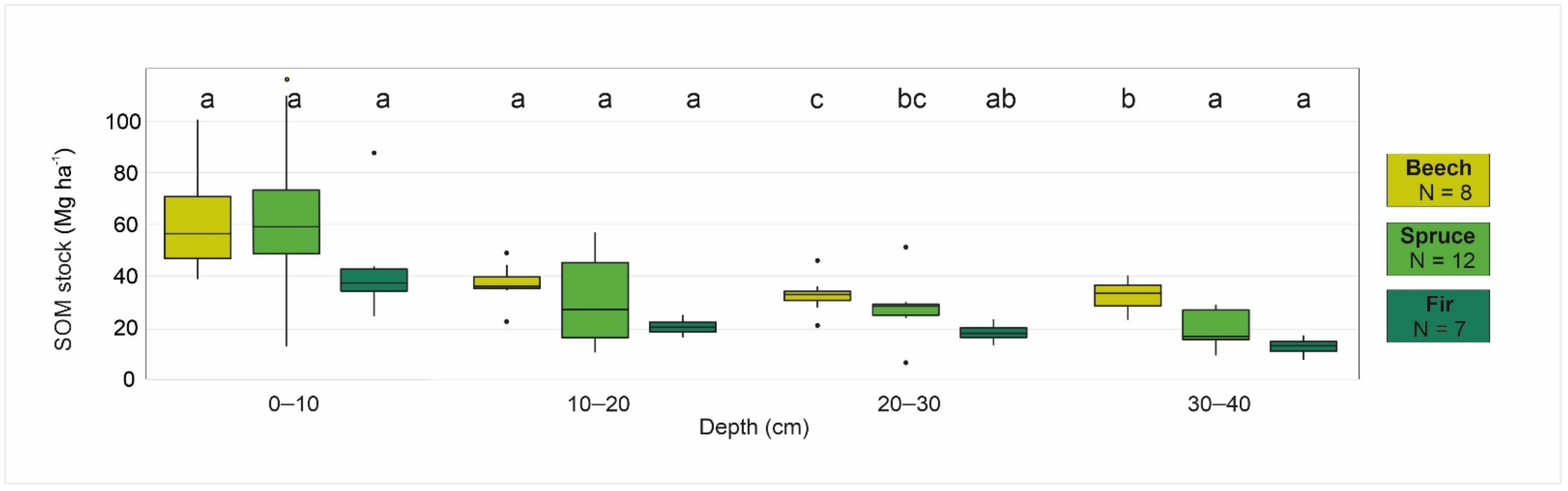 Forests 12 00823 g004
