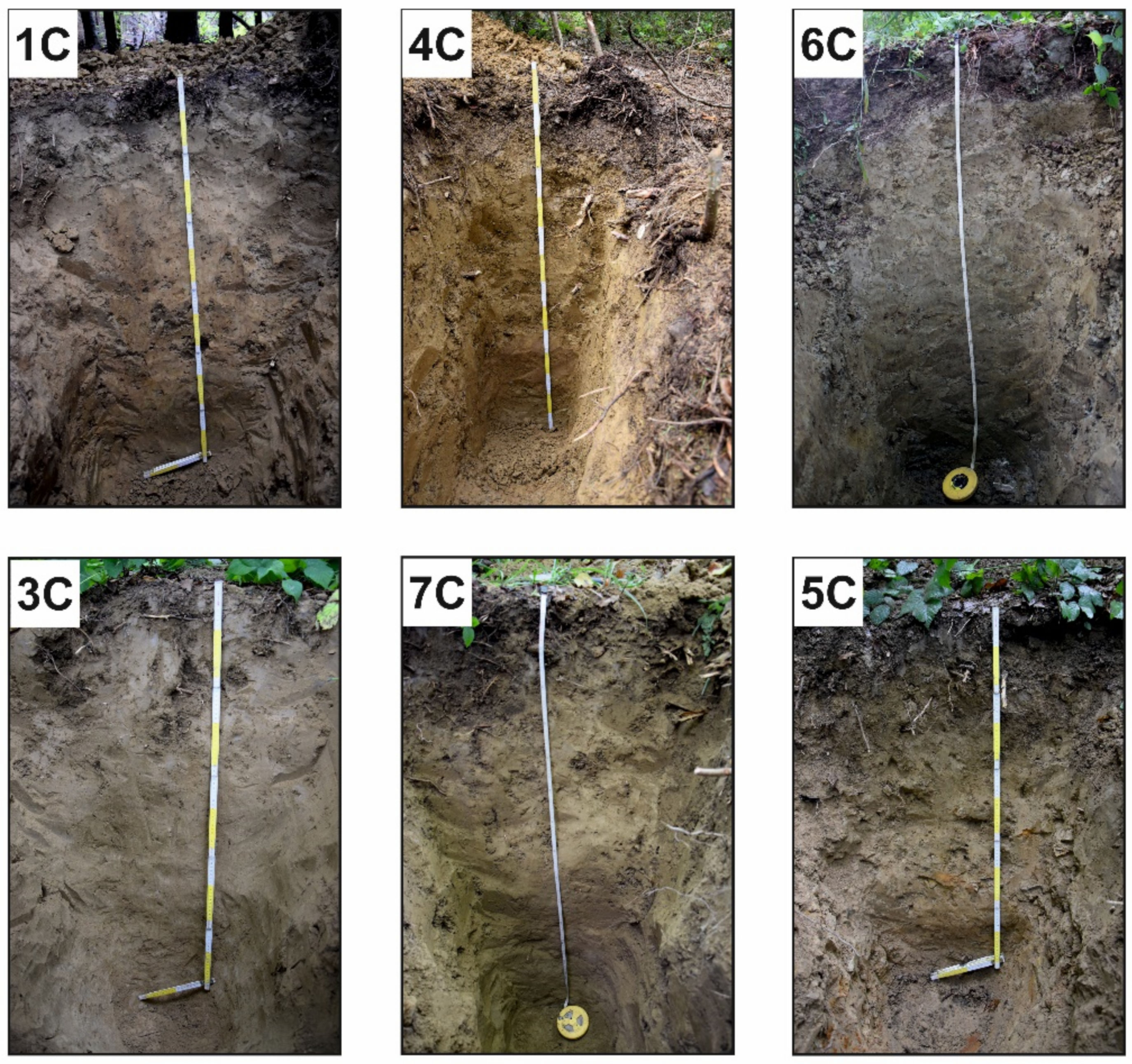 Forests 12 00823 g0a1