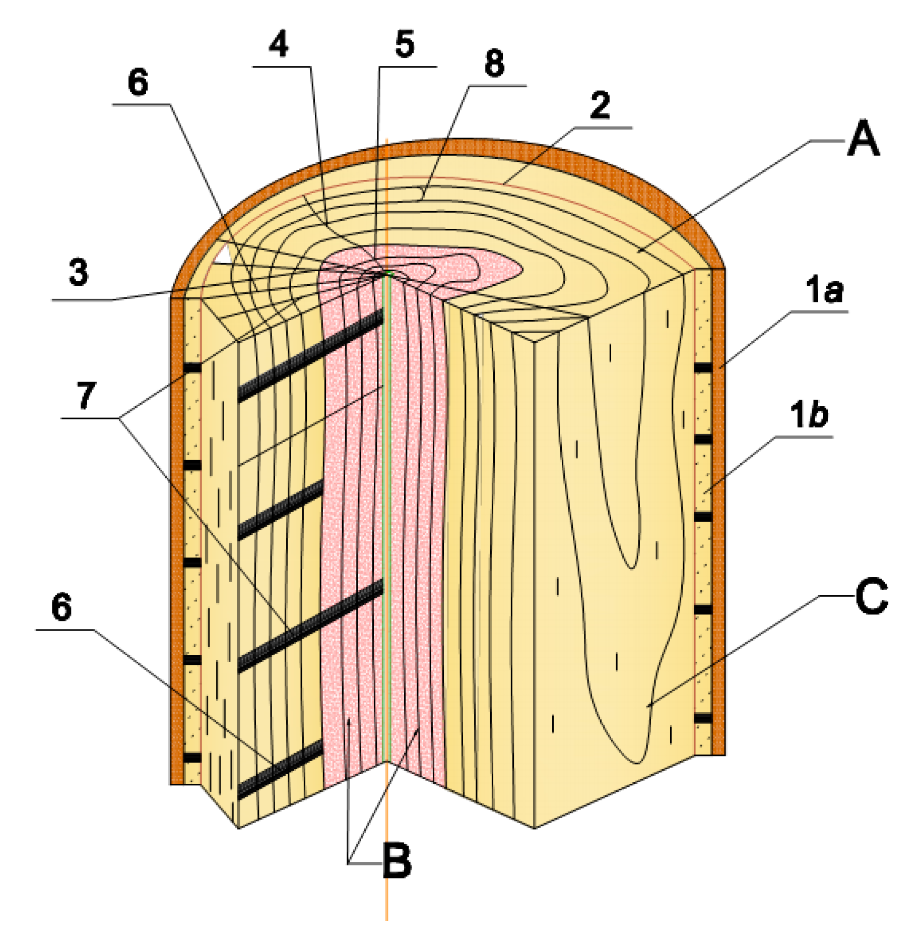Forests 12 00826 g001 550