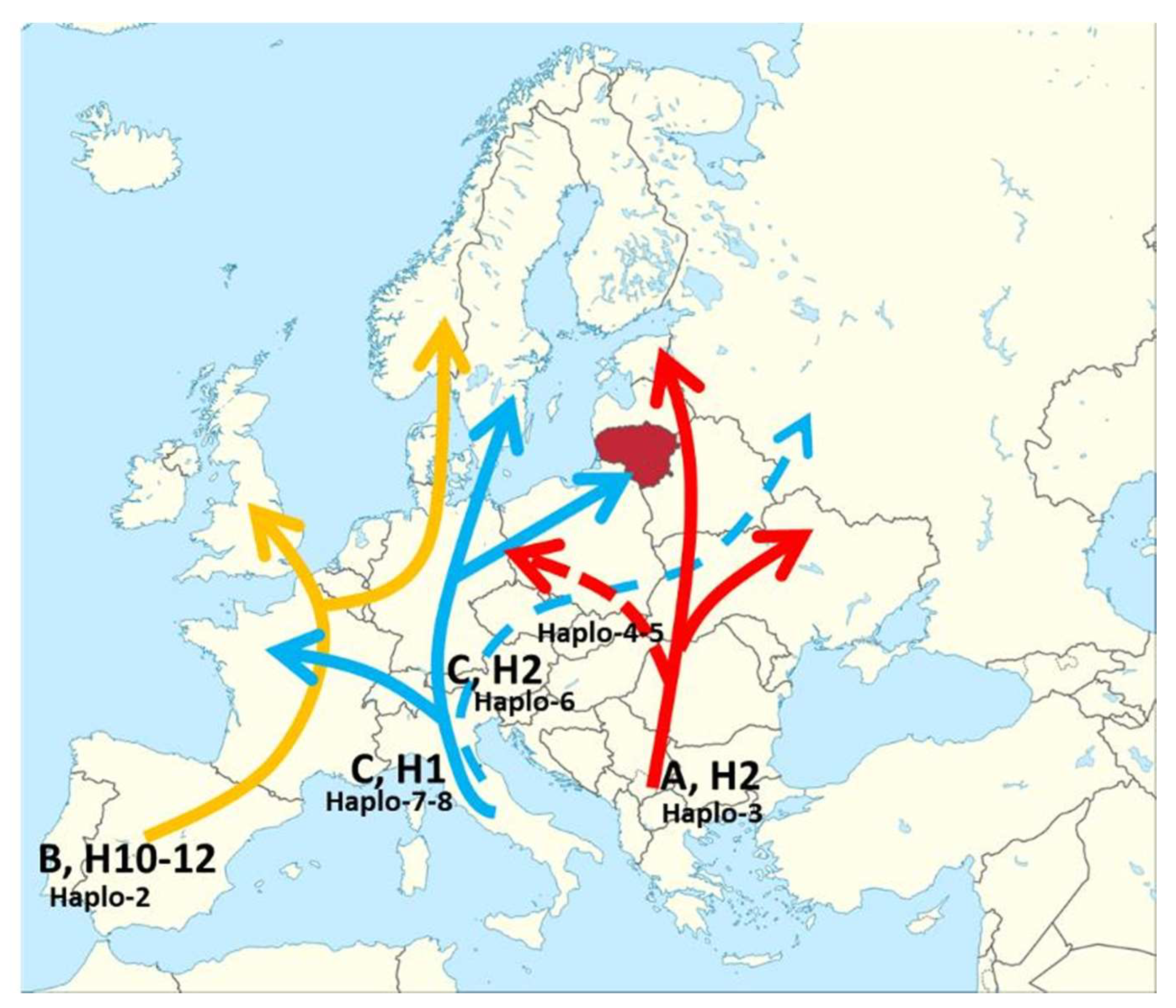 Forests 12 00831 g001