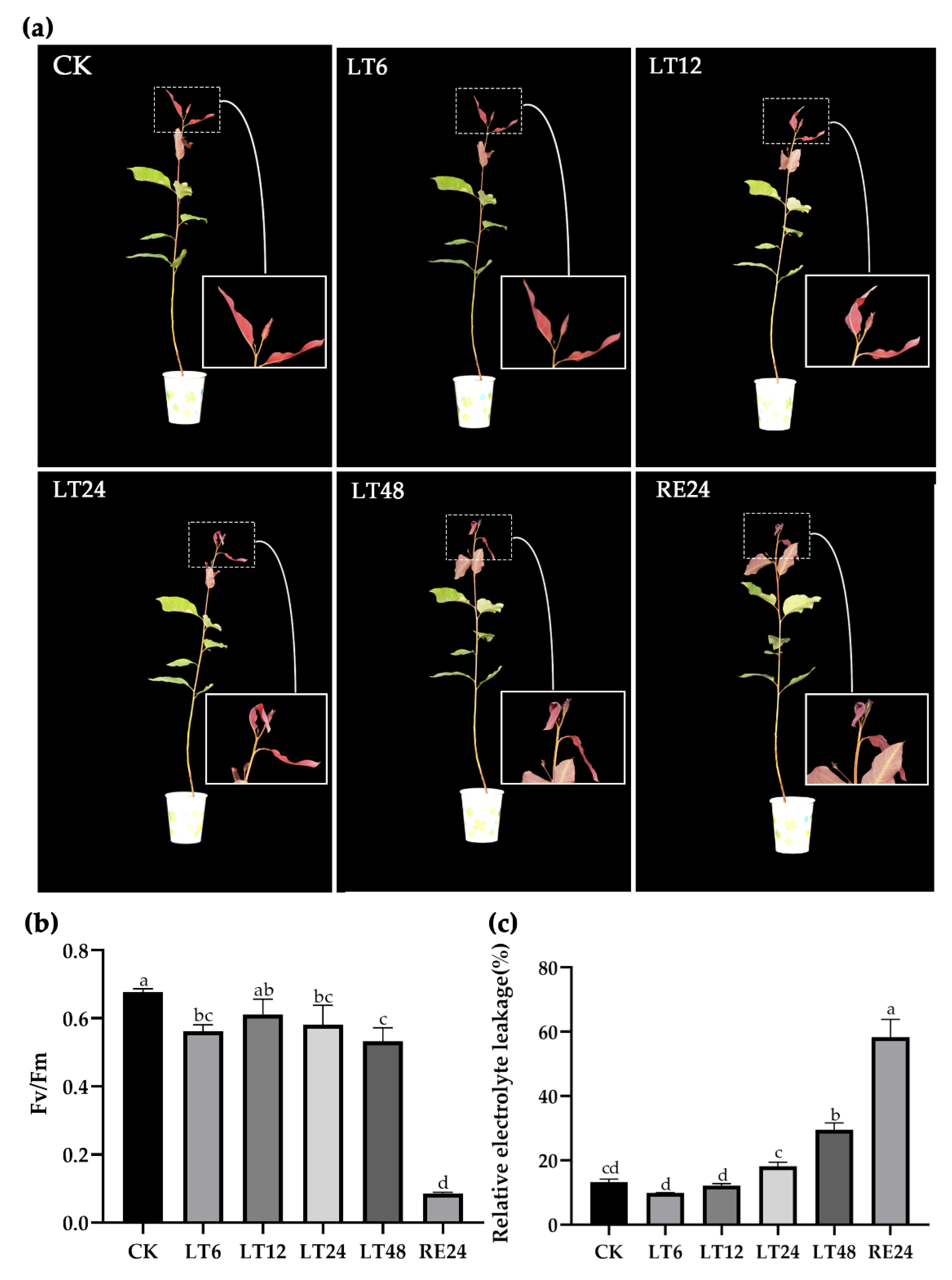 Forests 12 00836 g001 550