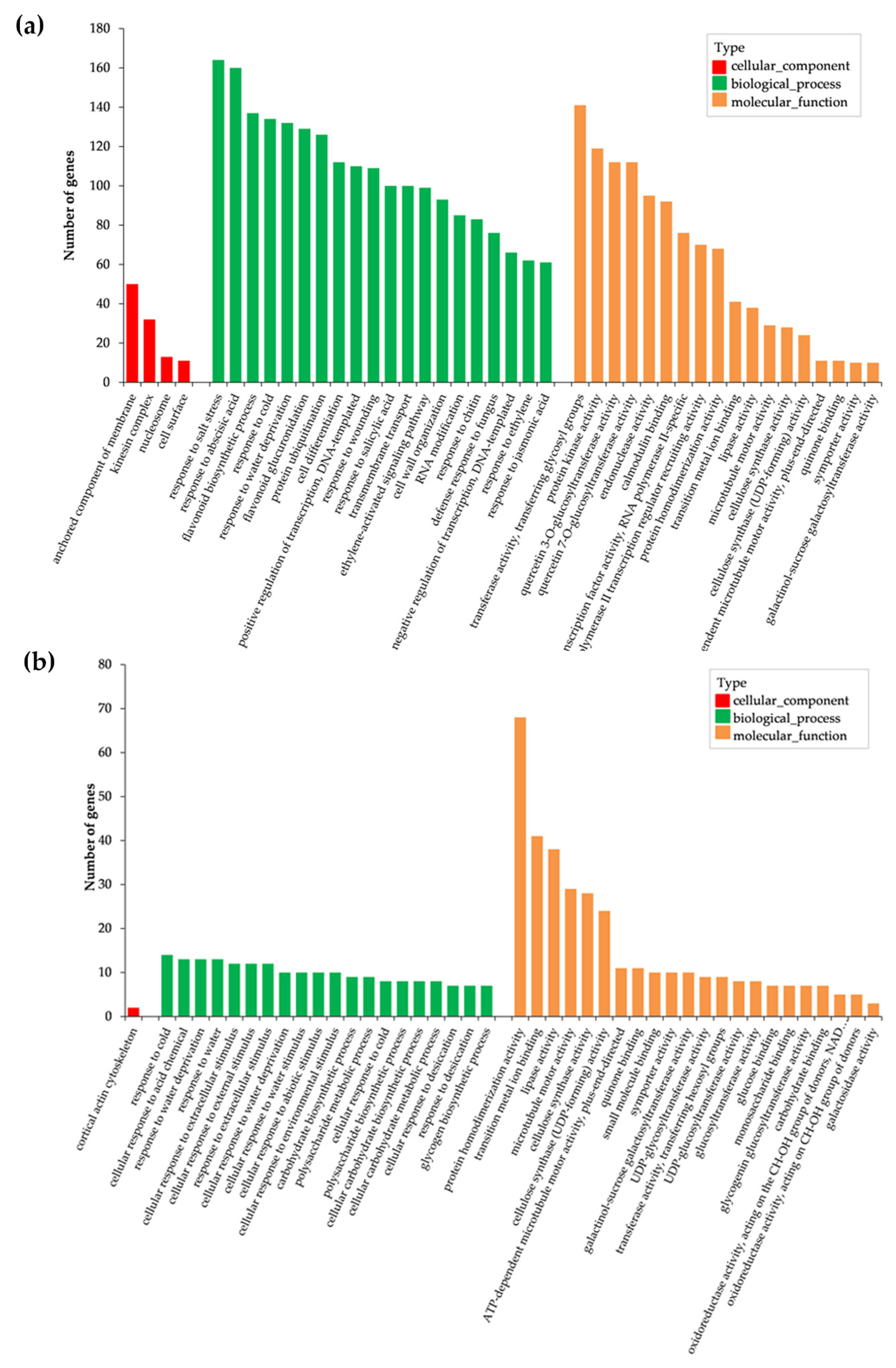 Forests 12 00836 g007 550