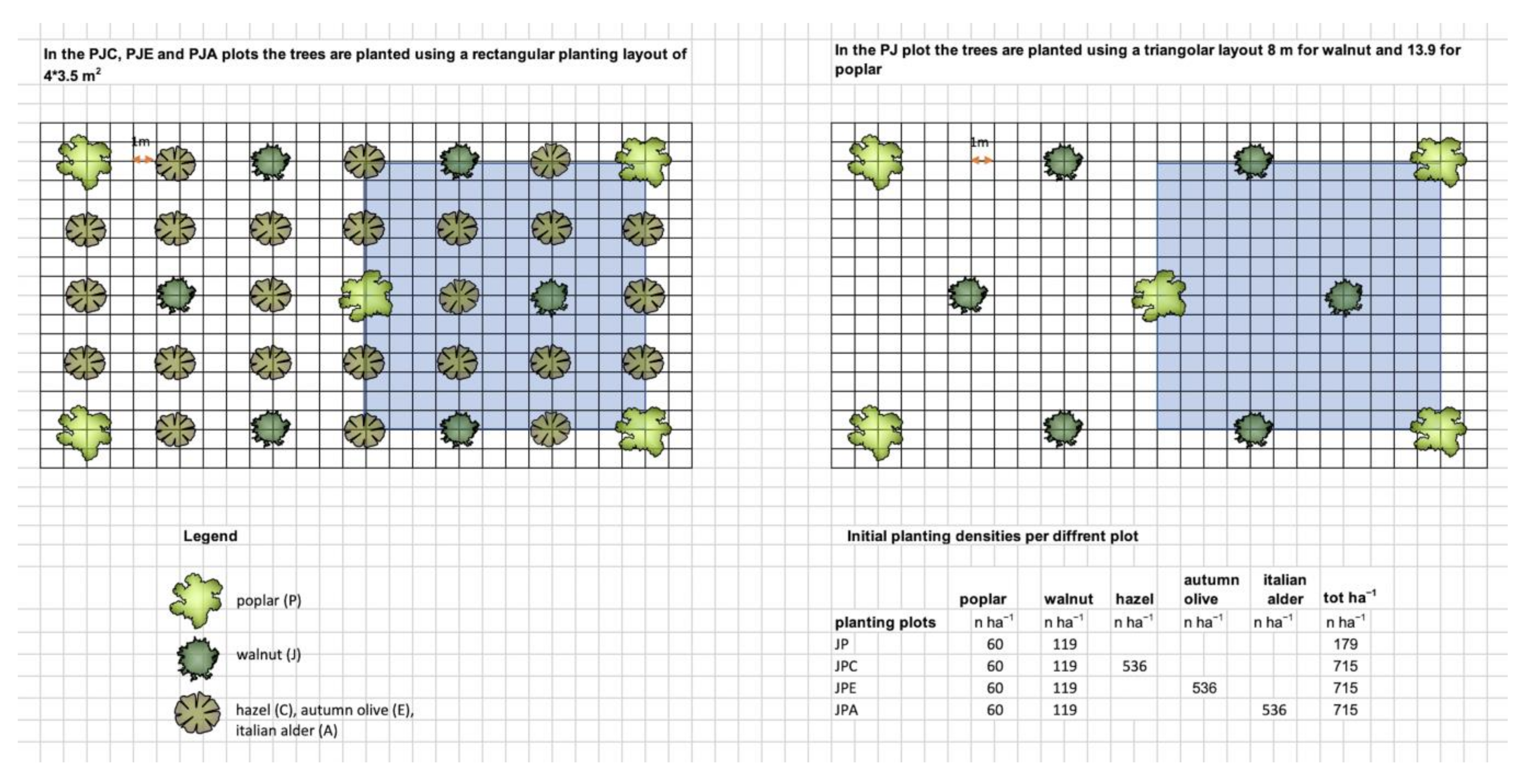 Forests 12 00842 g001 550