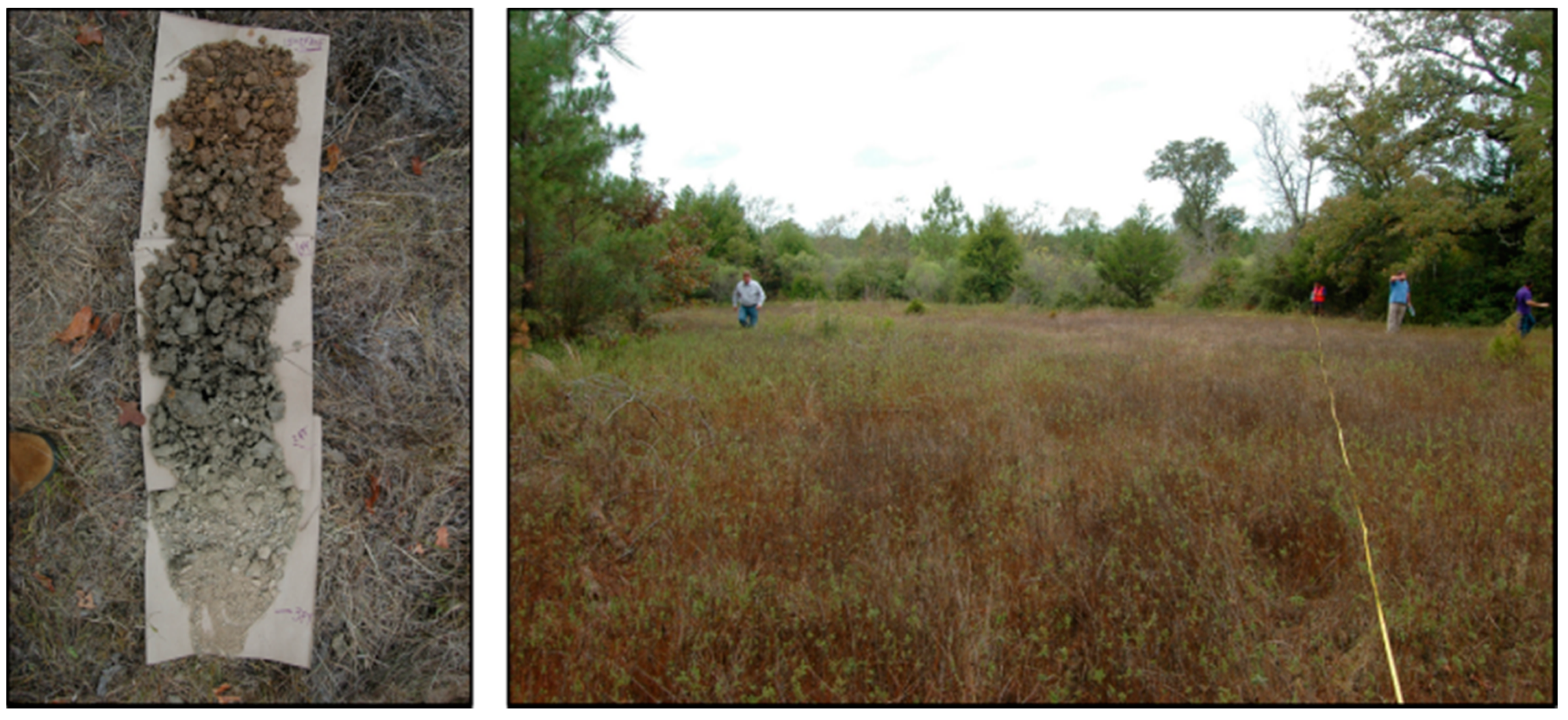 Forests 12 00845 g001 Forests 12 00845 g001