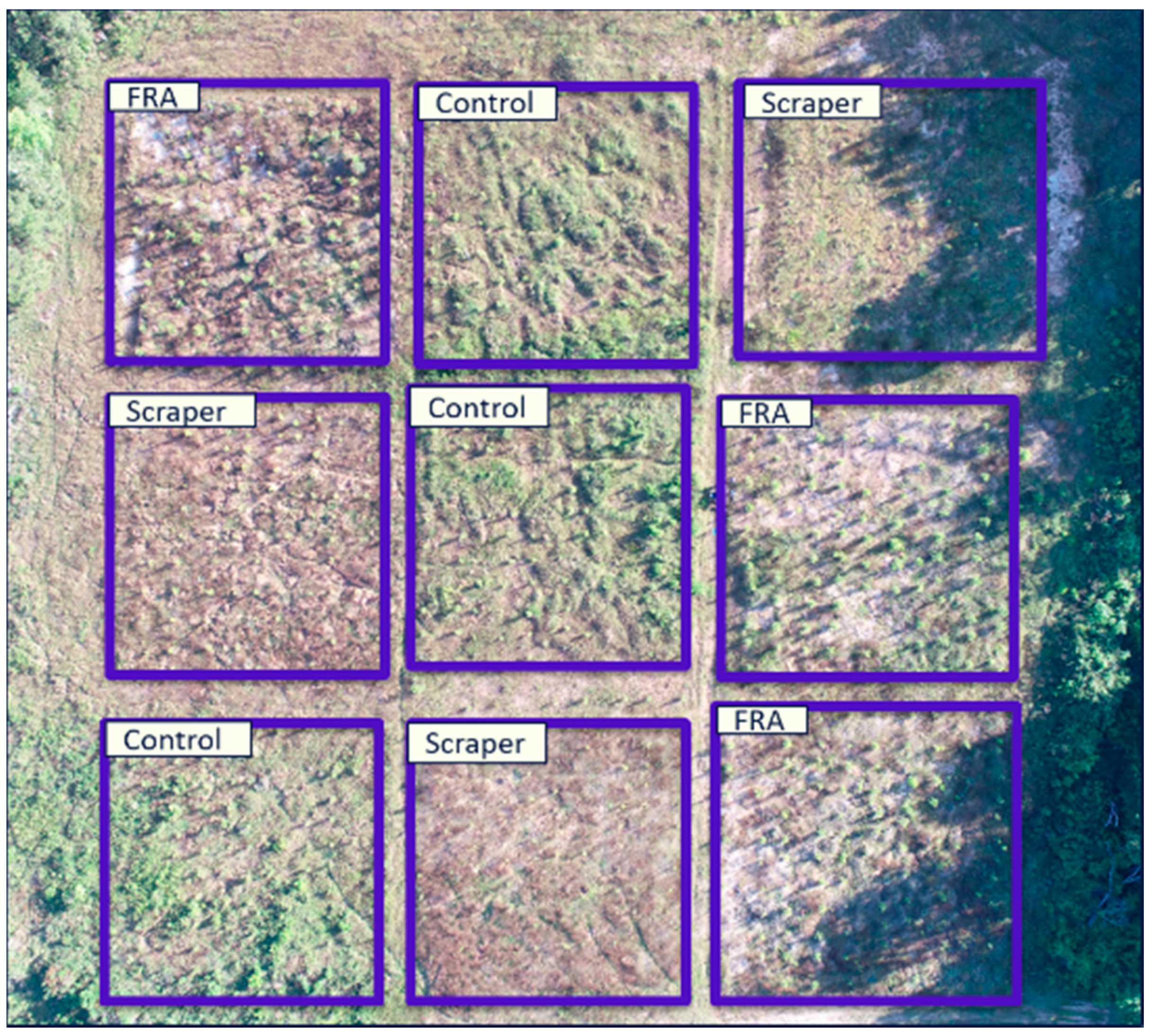 Forests 12 00845 g002 Forests 12 00845 g002