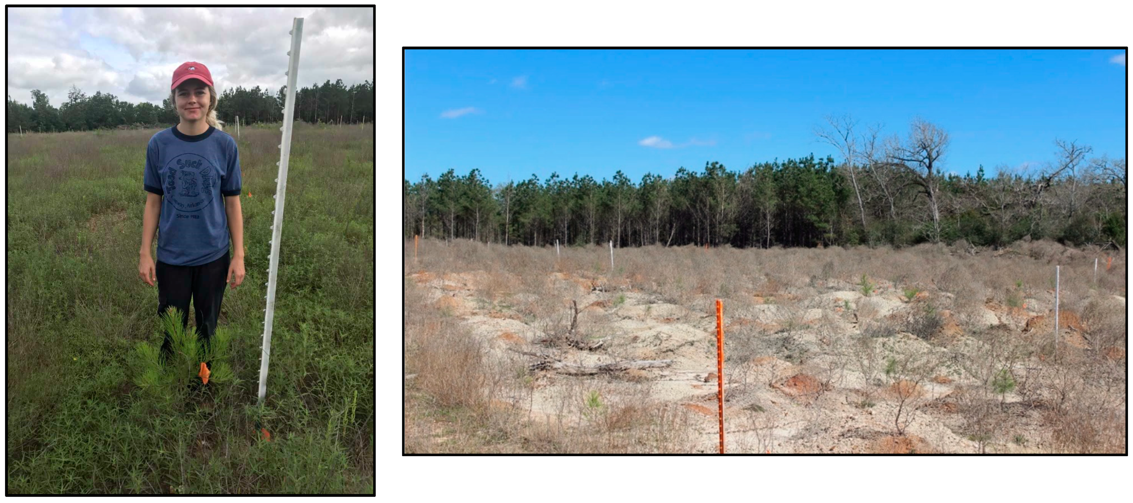 Forests 12 00845 g003 Forests 12 00845 g003