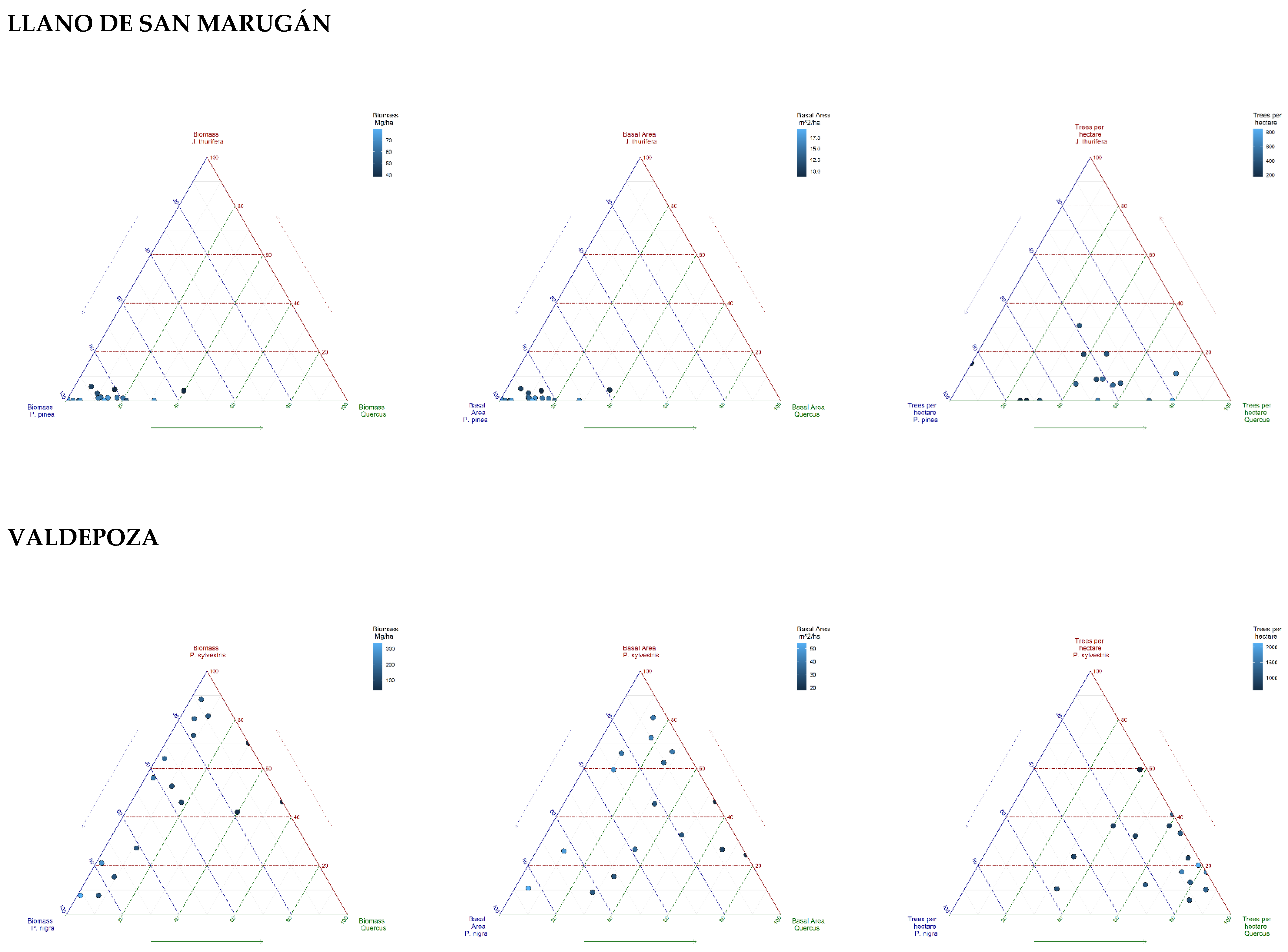 Forests 12 00848 g002