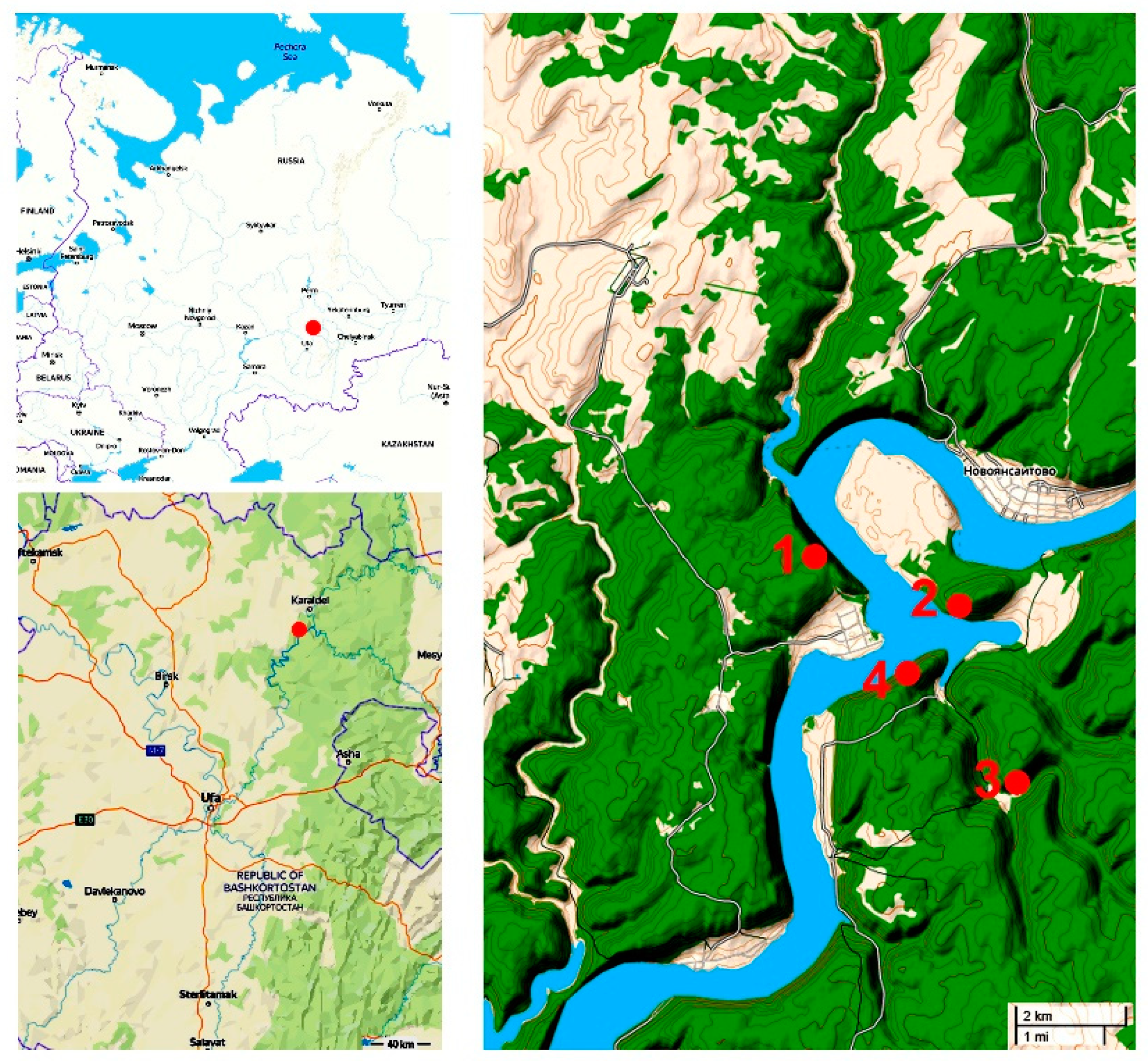 Forests 12 00851 g001