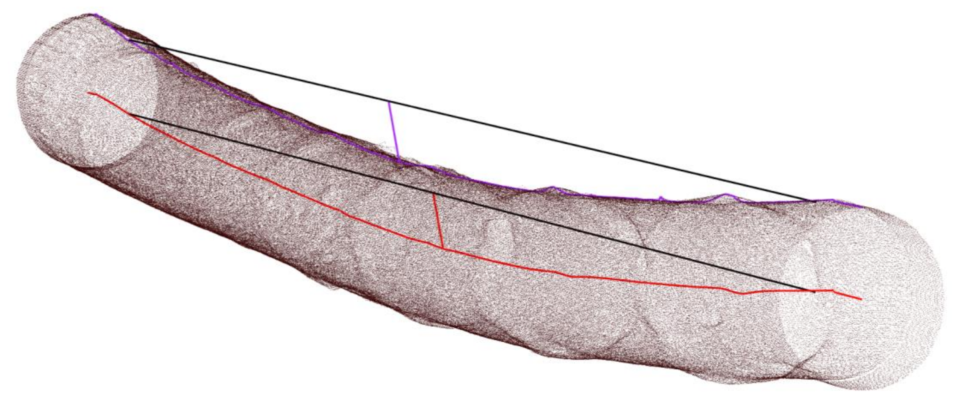 Forests 12 00857 g001