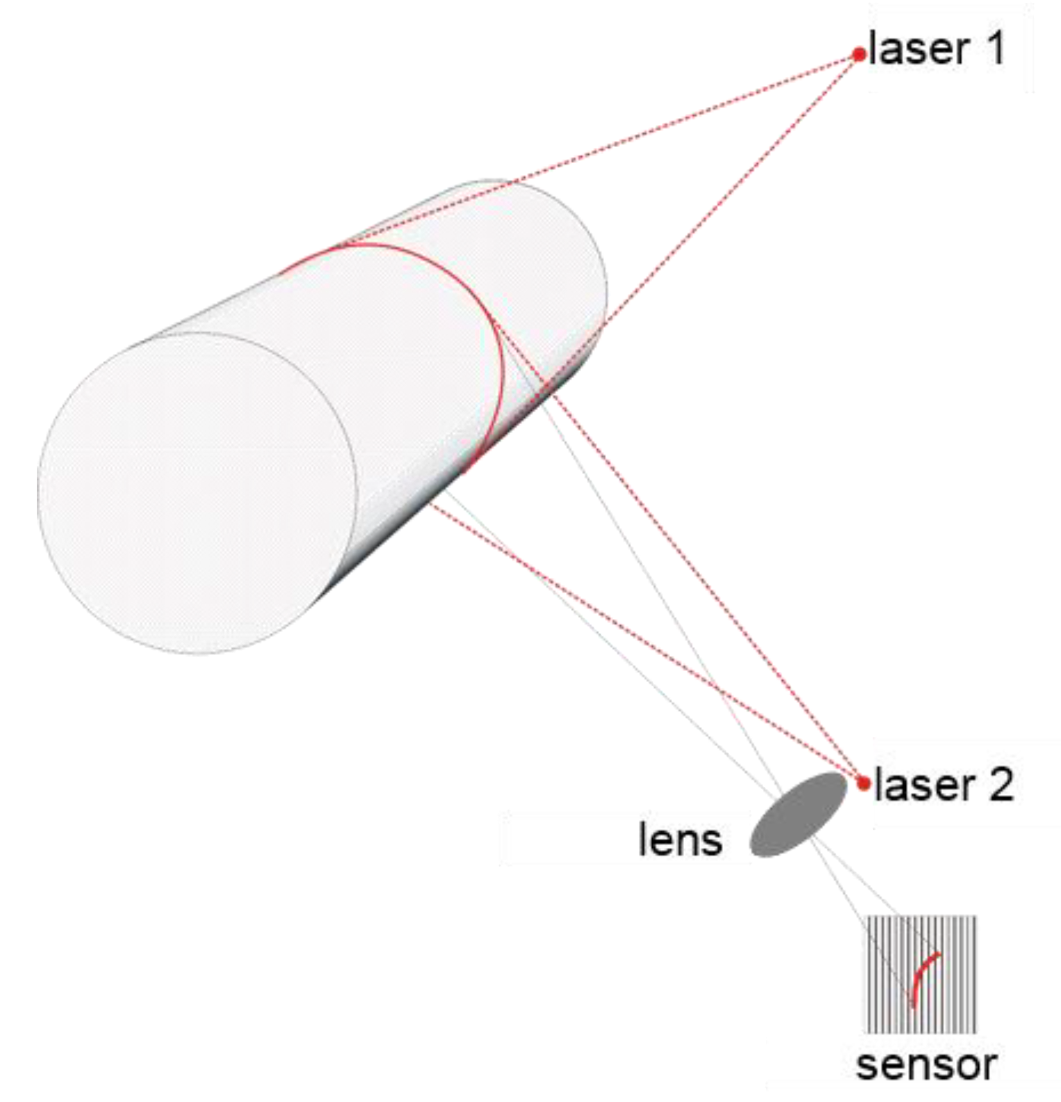 Forests 12 00857 g002