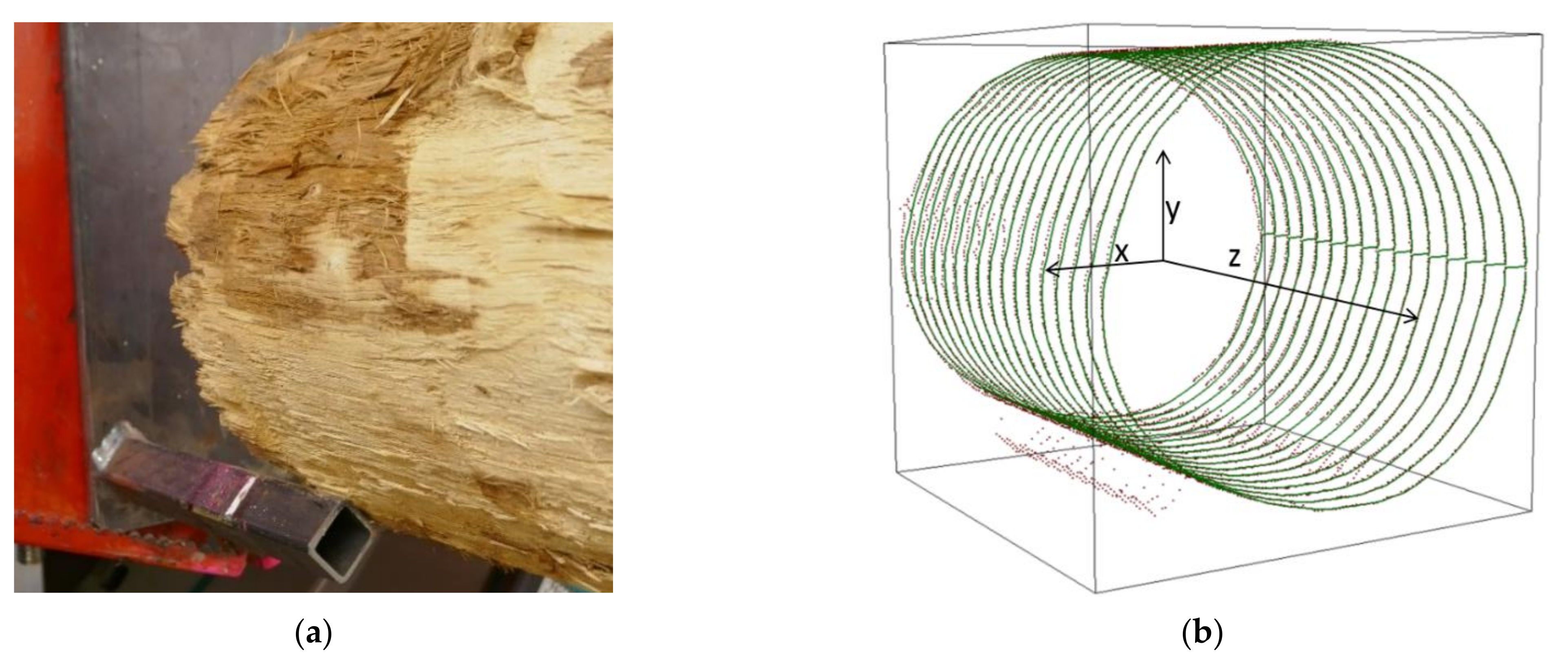 Forests 12 00857 g003