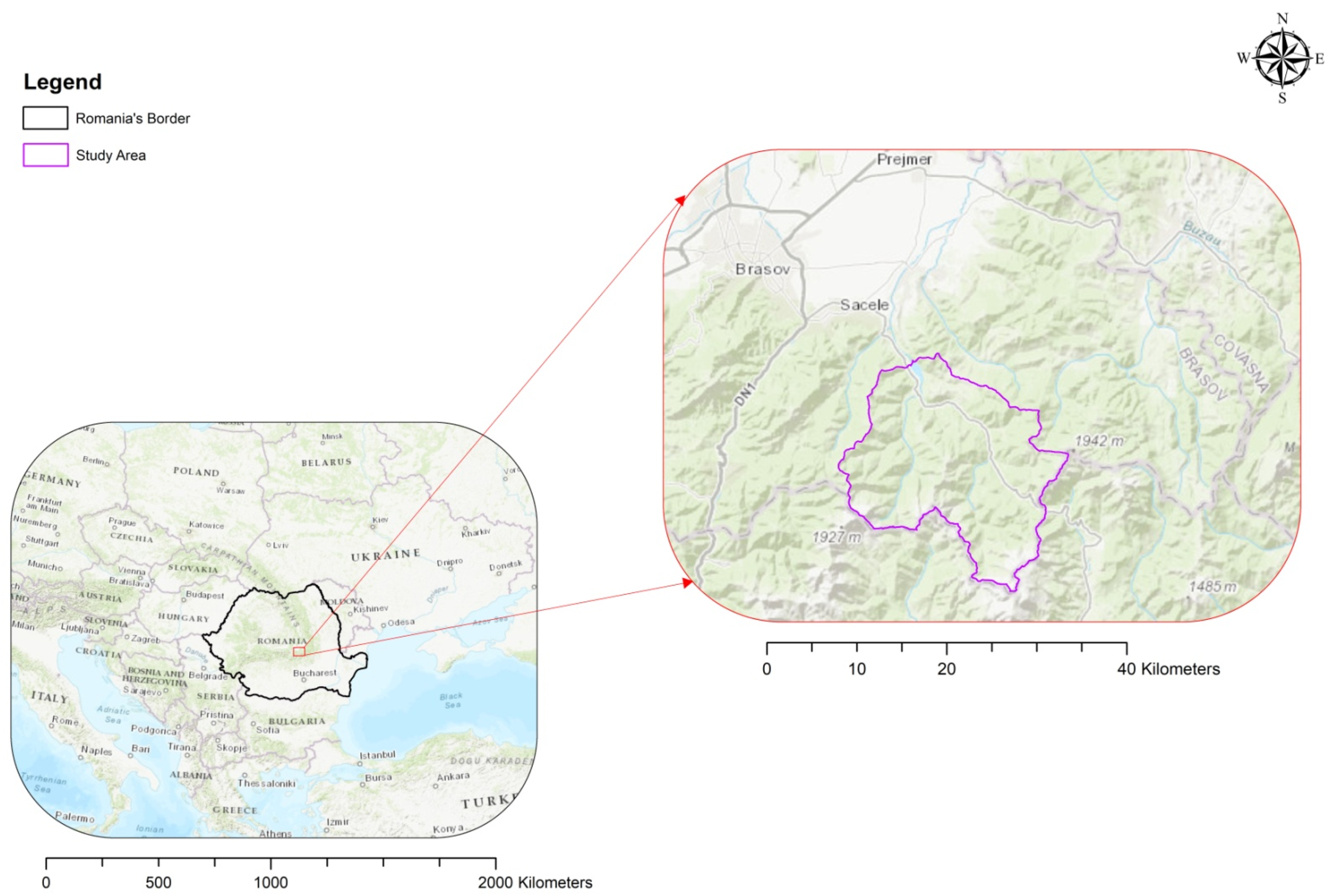 Forests 12 00860 g001