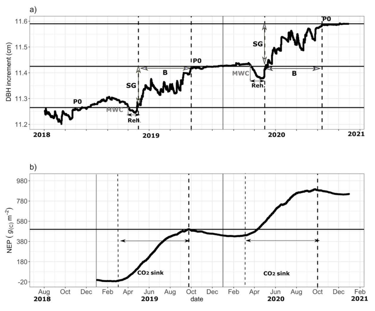 Forests 12 00867 g006 550