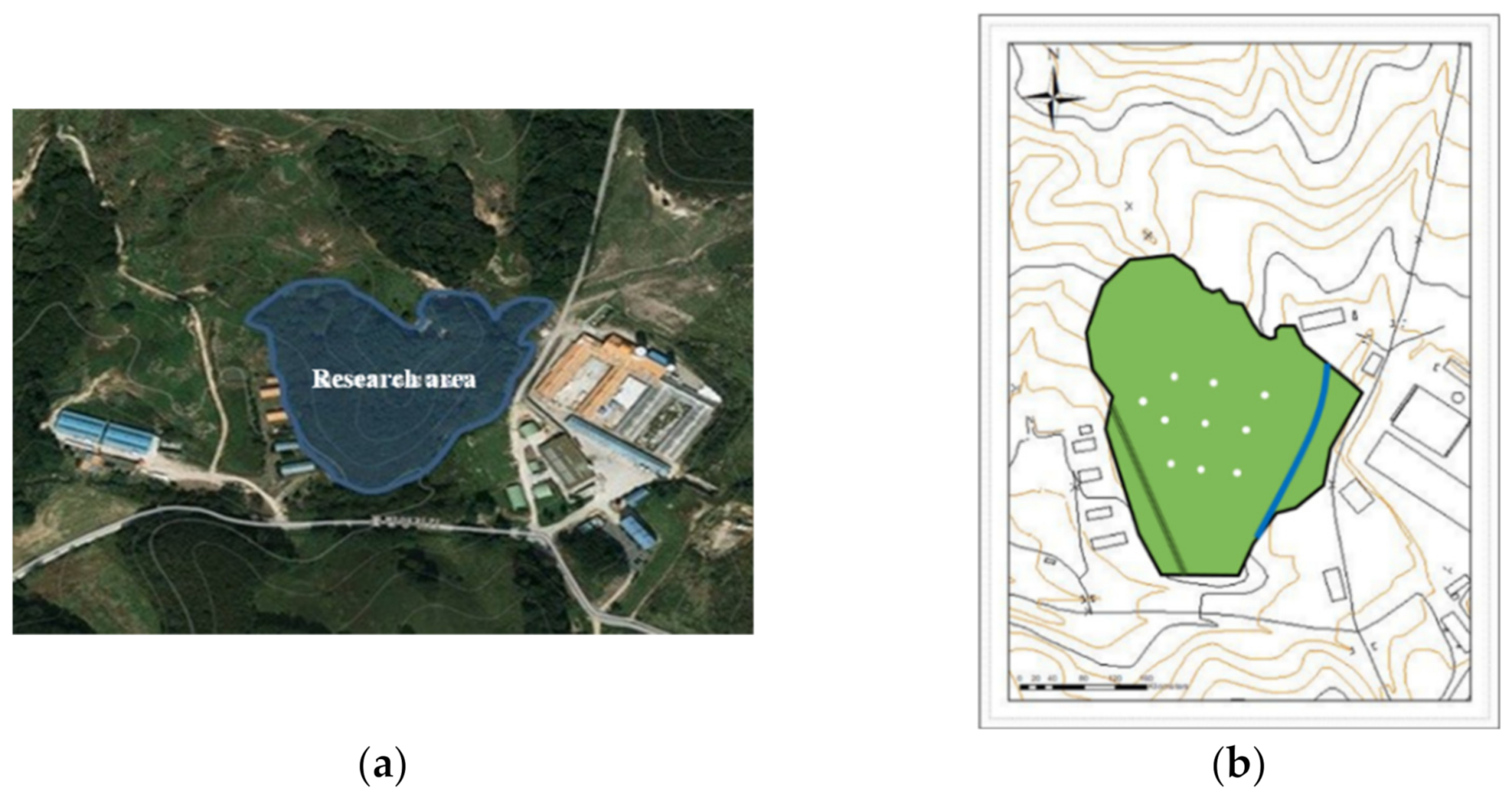 Forests 12 00872 g001