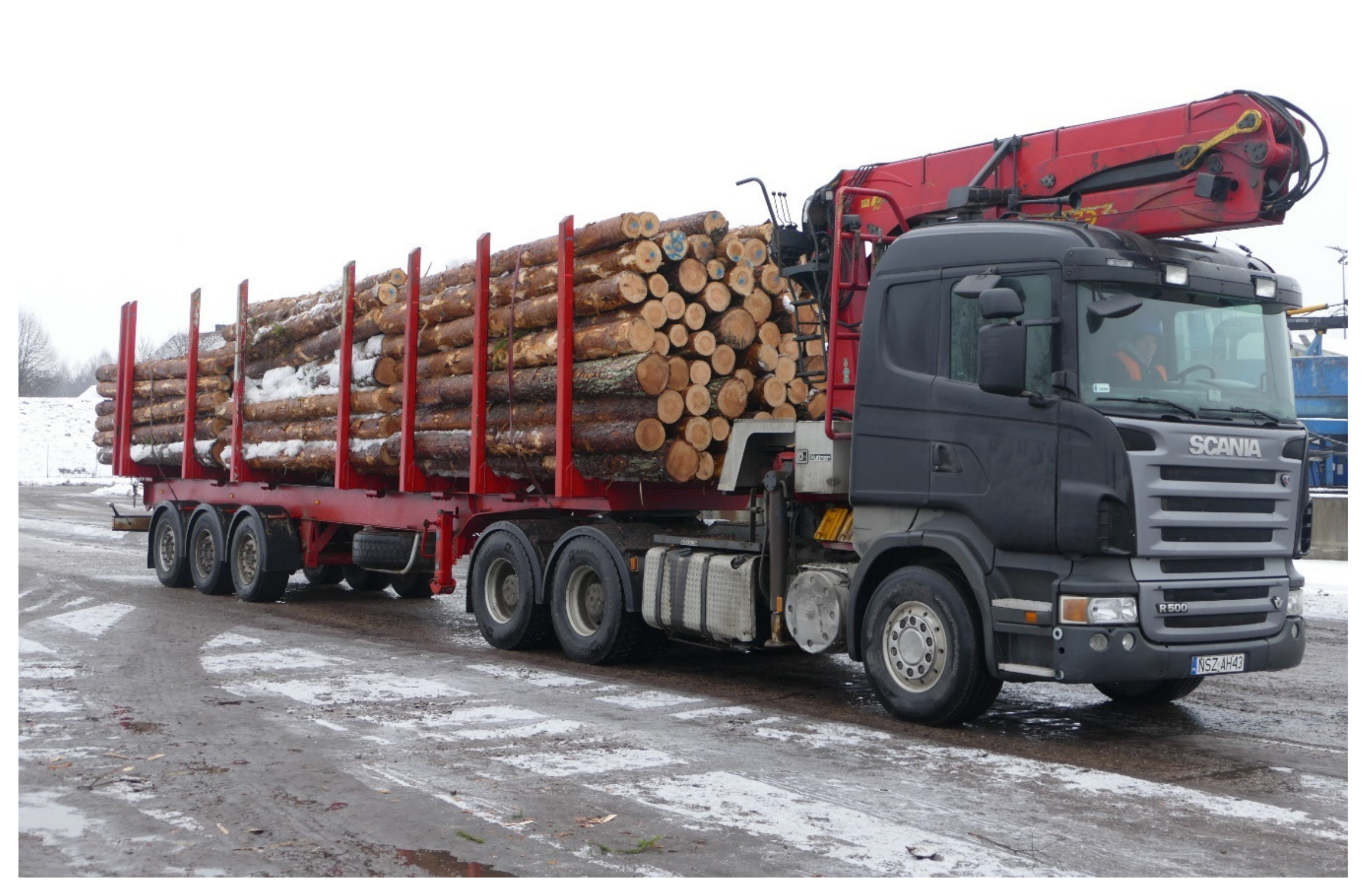 Forests 12 00879 g001