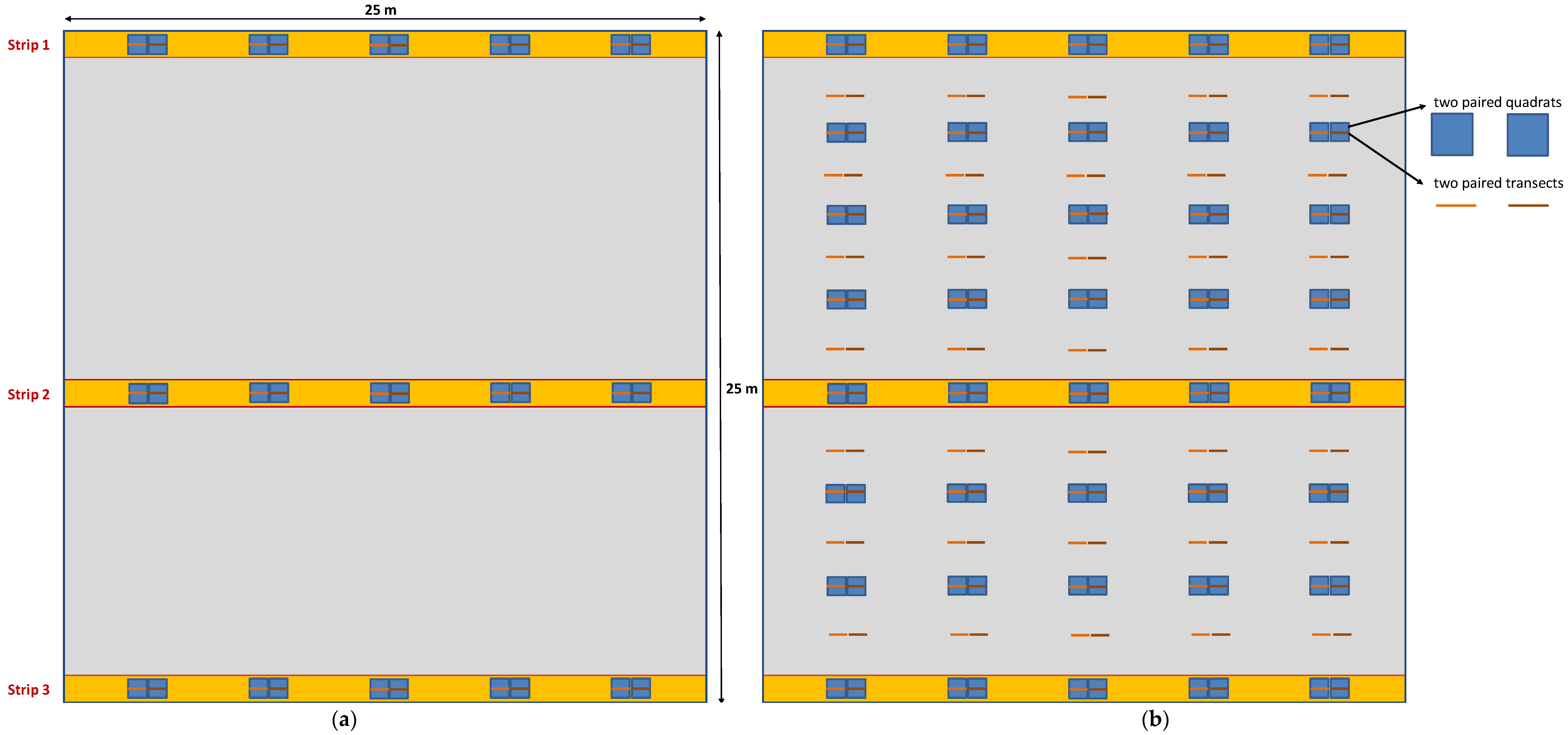 Forests 12 00881 g001