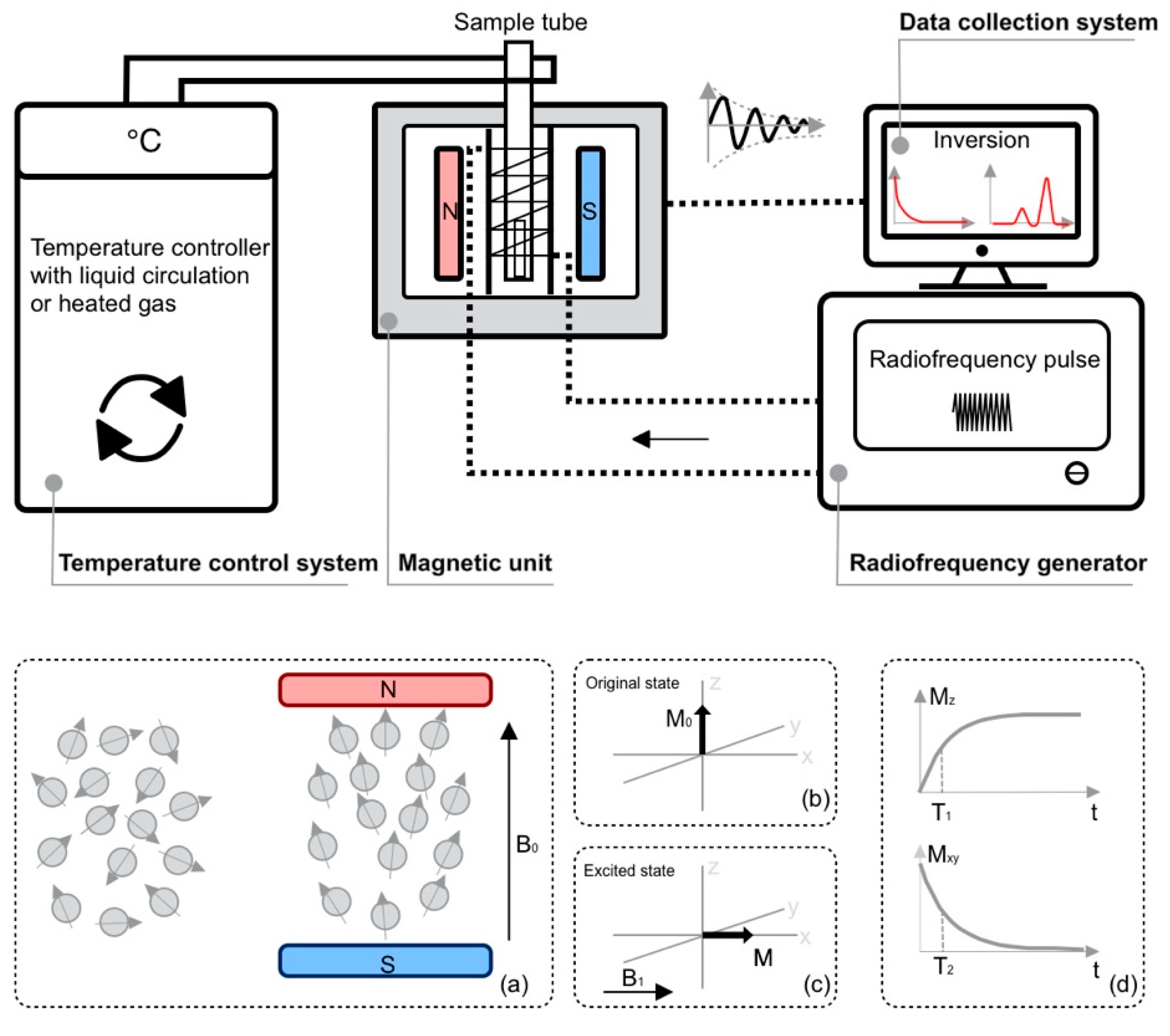 Forests 12 00886 g001