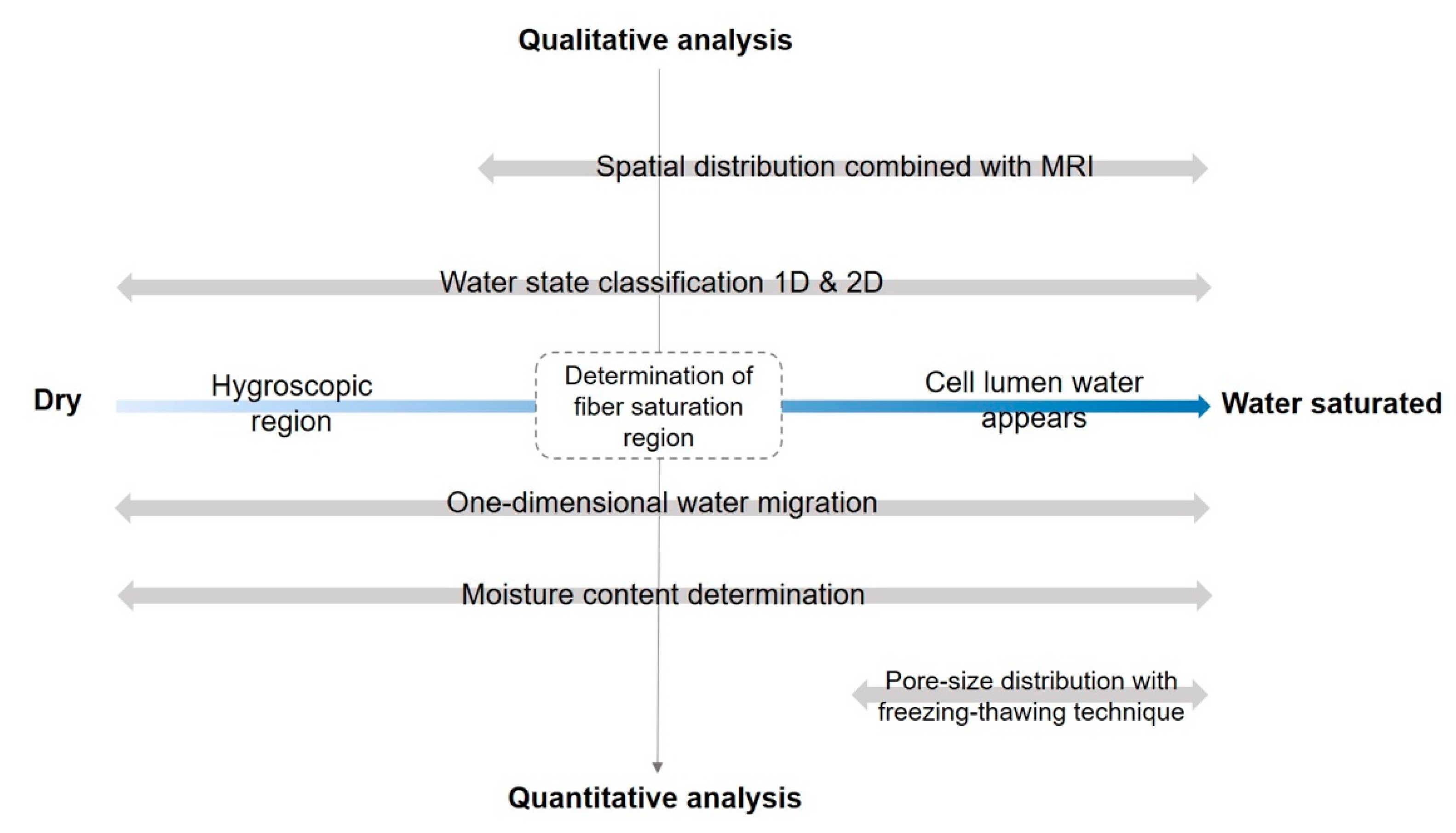Forests 12 00886 g002