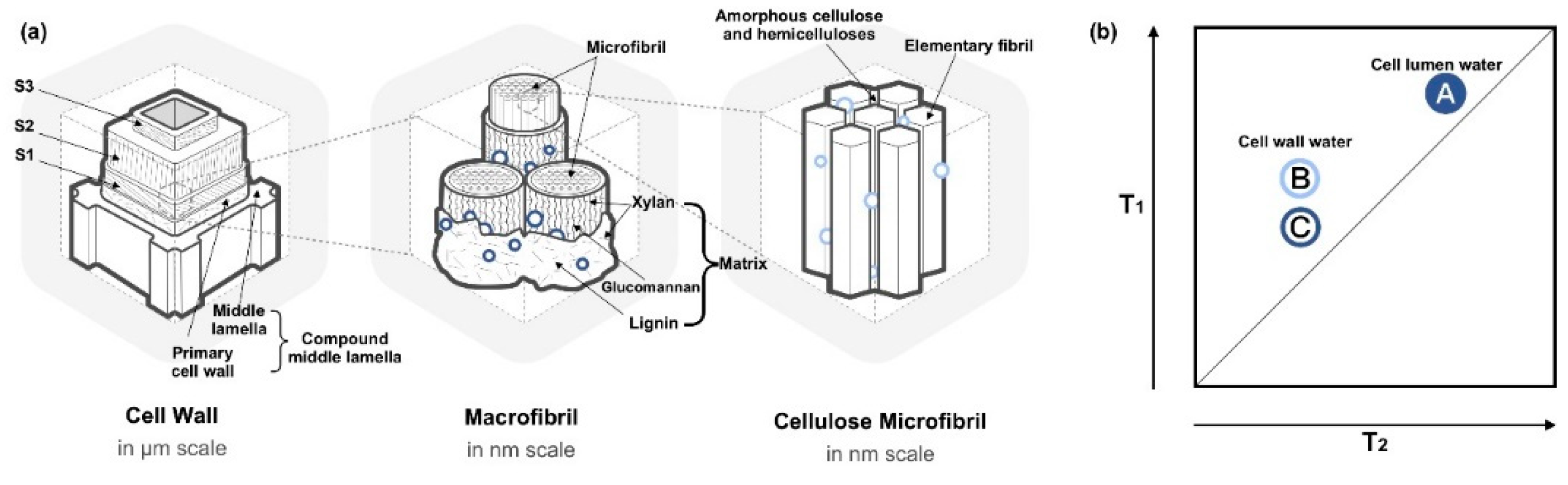 Forests 12 00886 g004
