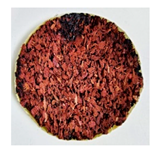 Forests 12 00887 i002