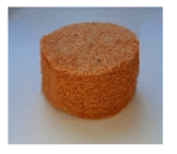 Forests 12 00887 i013