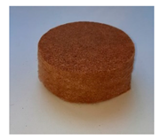 Forests 12 00887 i016