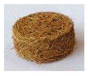 Forests 12 00887 i017