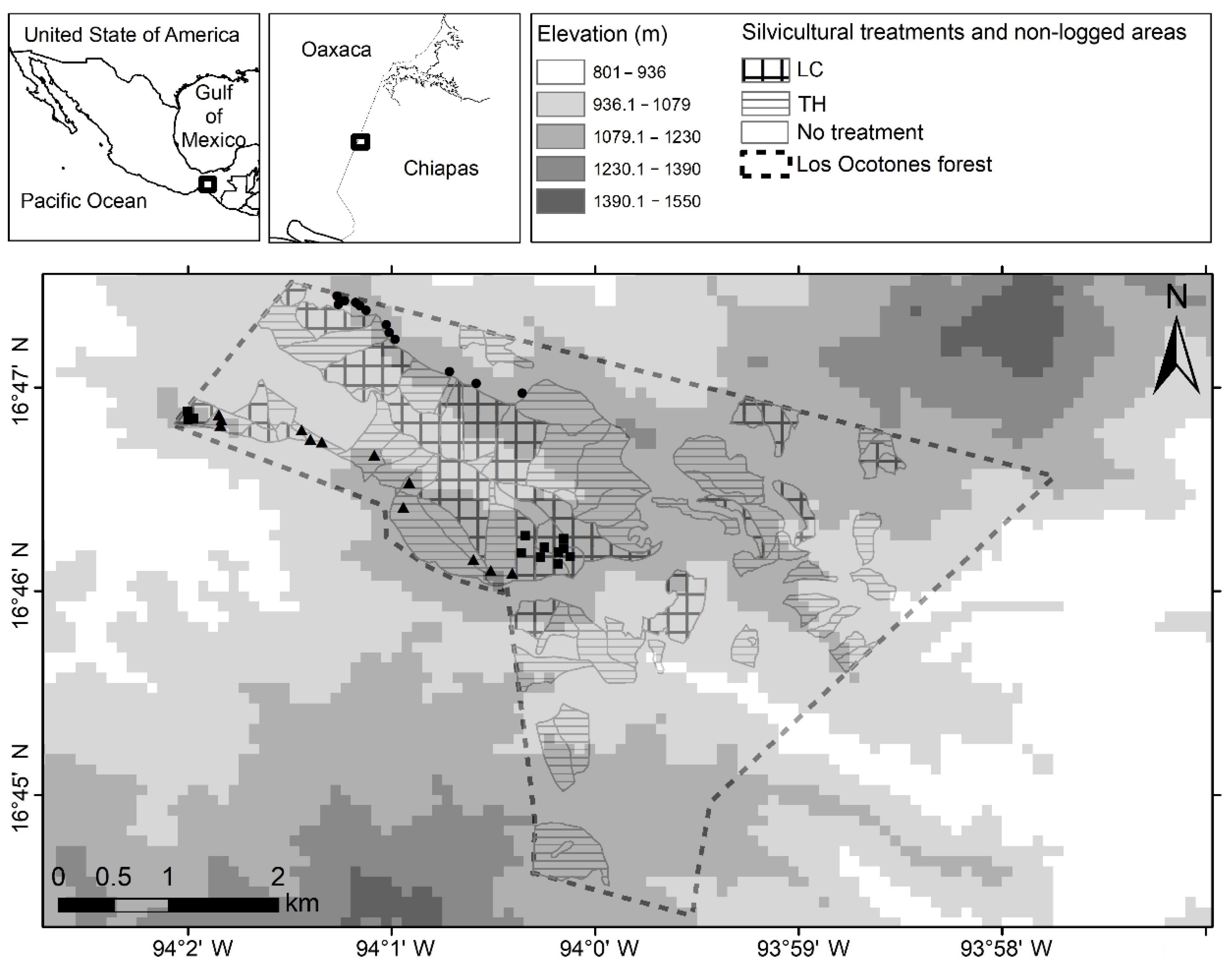 Forests 12 00895 g001