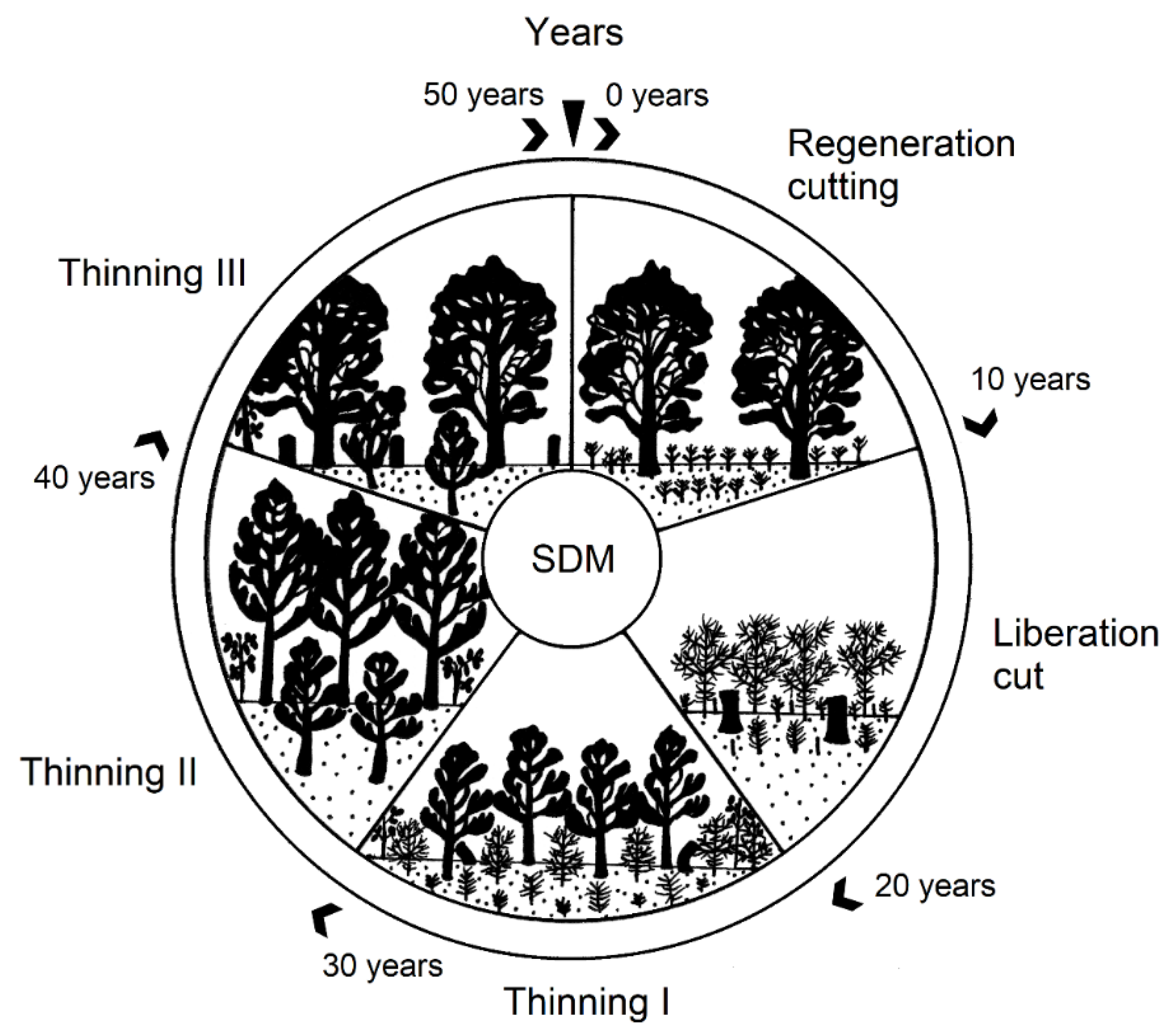 Forests 12 00895 g002
