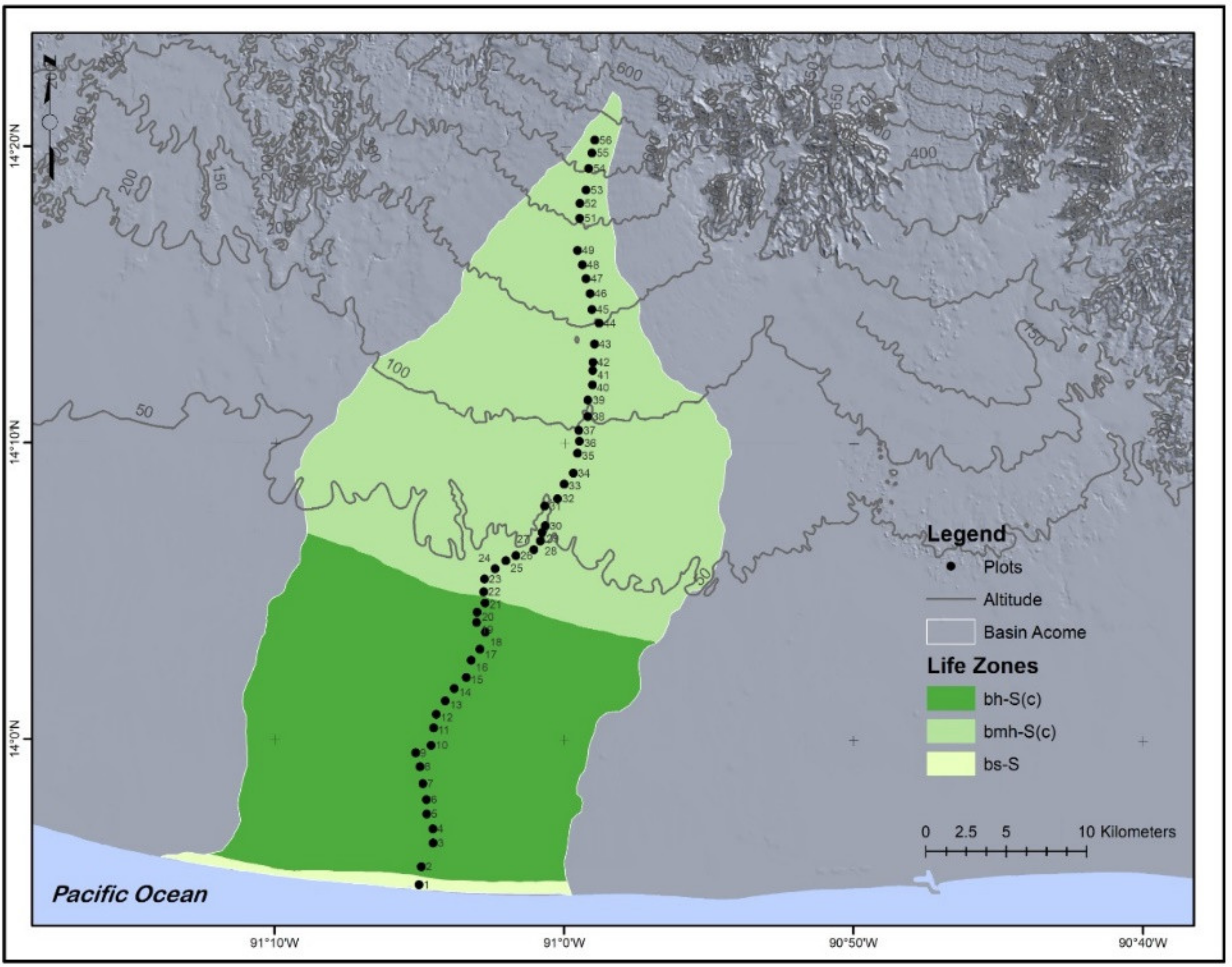 Forests 12 00898 g001