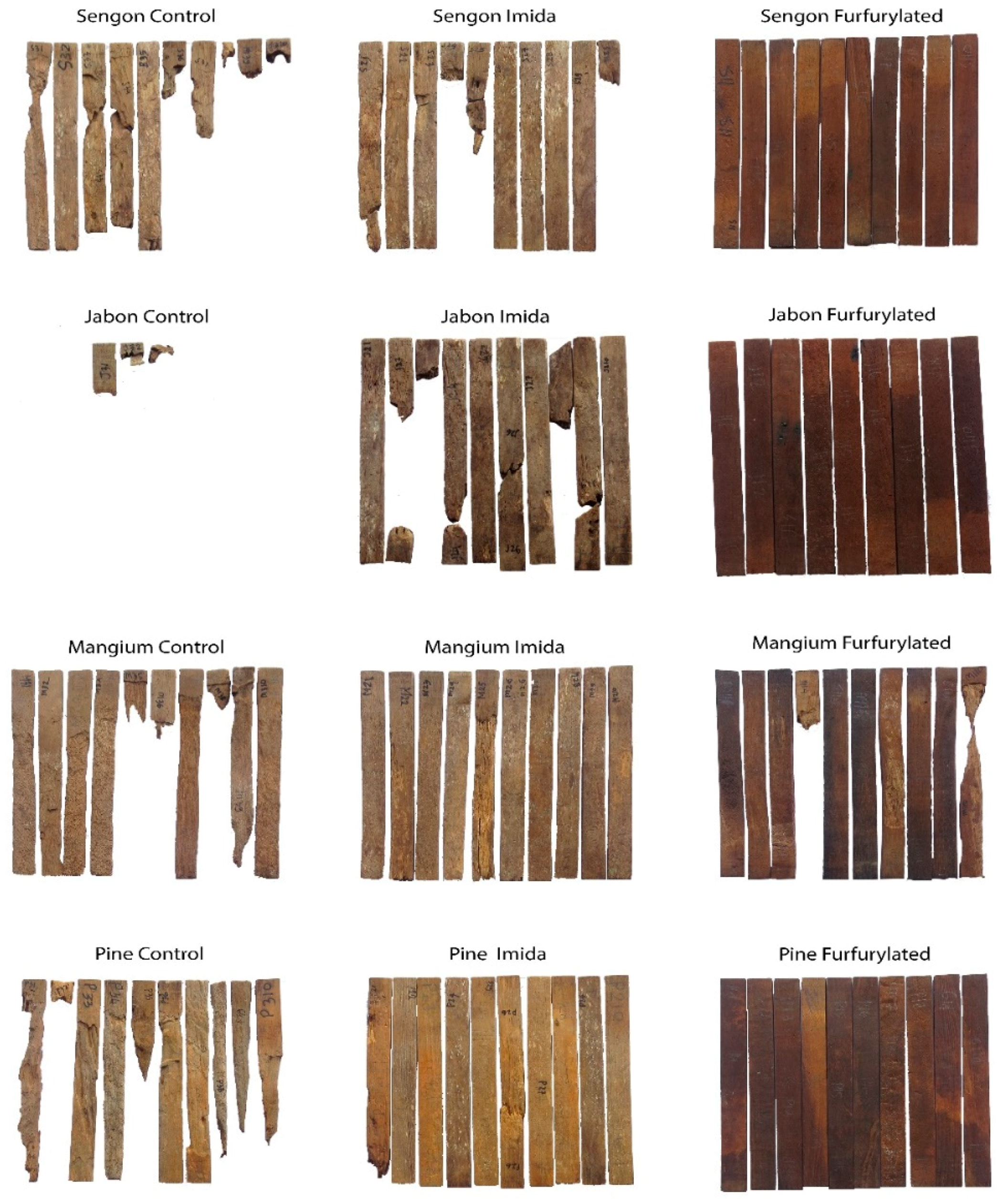 Forests 12 00900 g006 Forests 12 00900 g006
