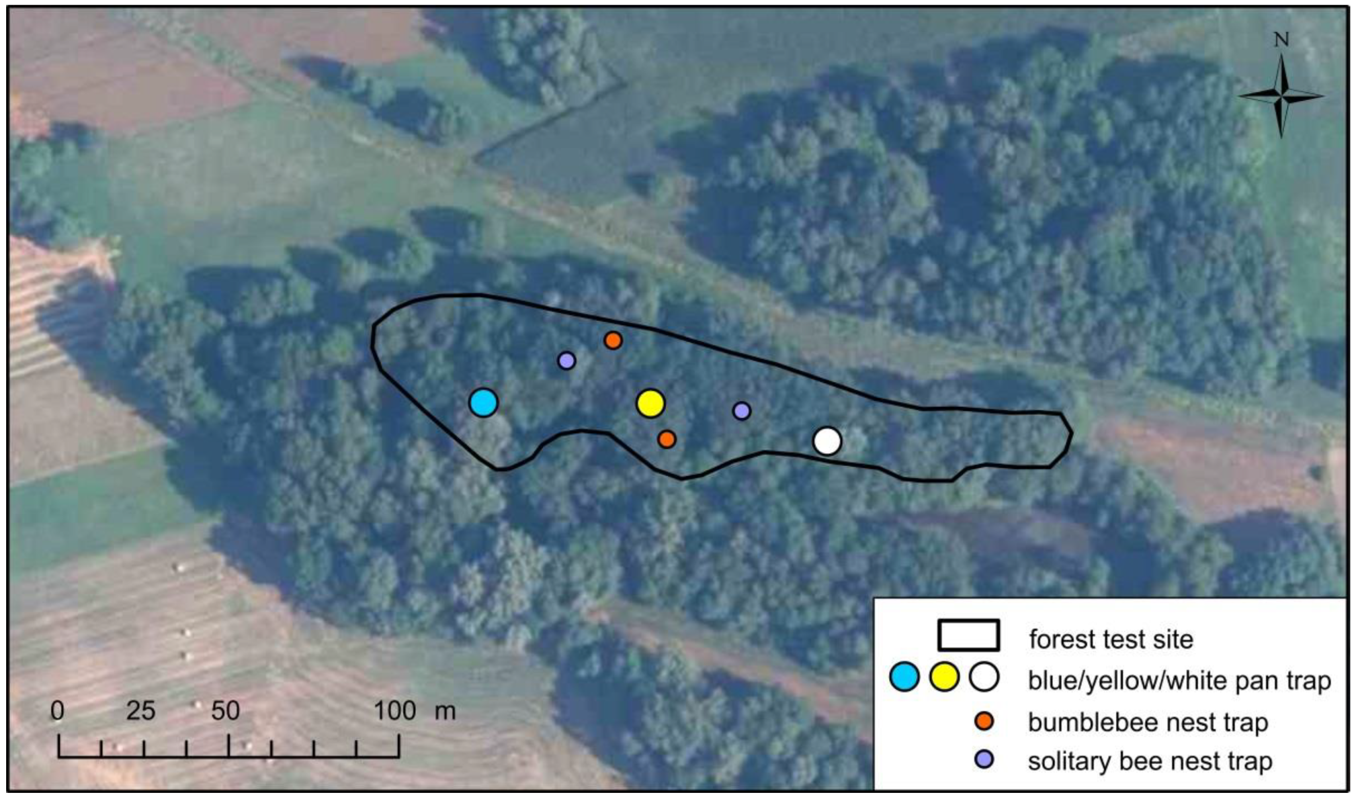 Forests 12 00907 g004