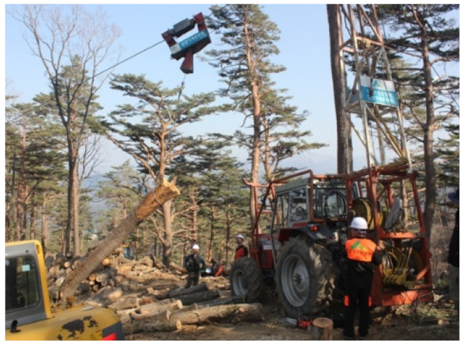 Forests 12 00908 i001