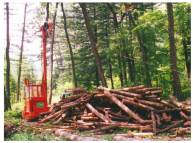 Forests 12 00908 i002