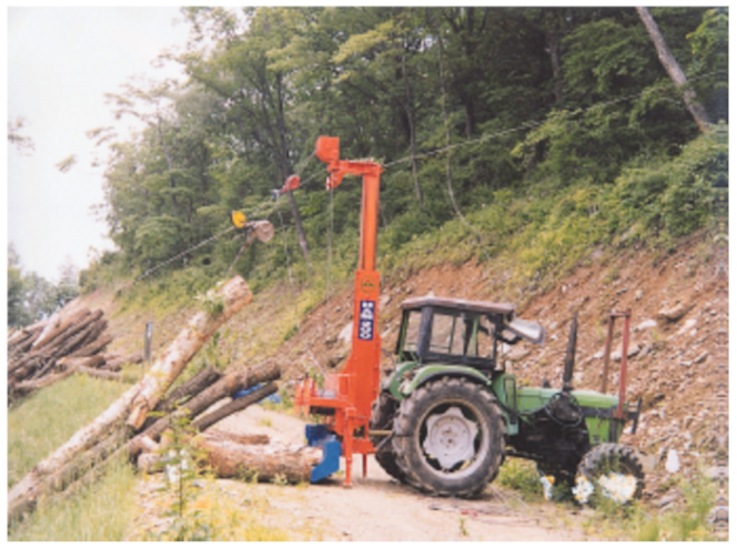 Forests 12 00908 i003