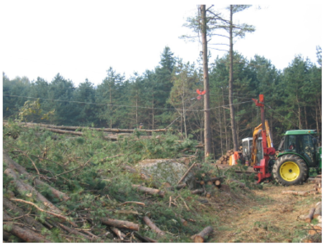 Forests 12 00908 i004