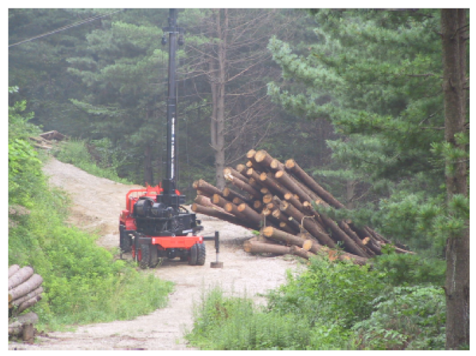 Forests 12 00908 i006